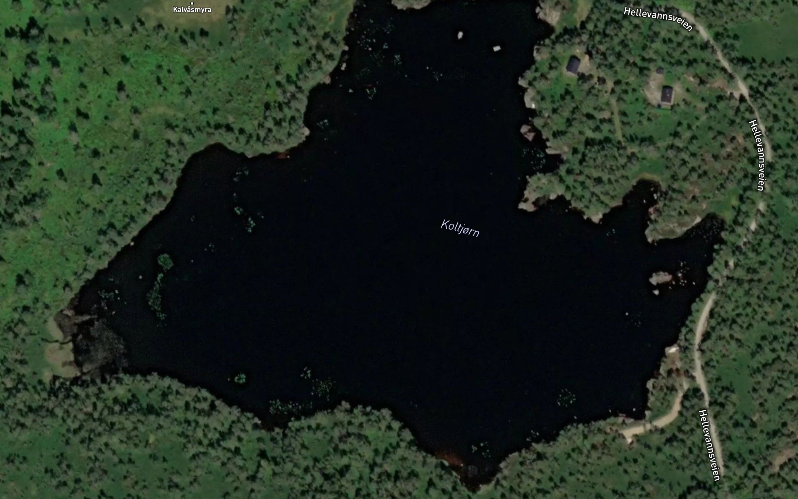 Koltjorn