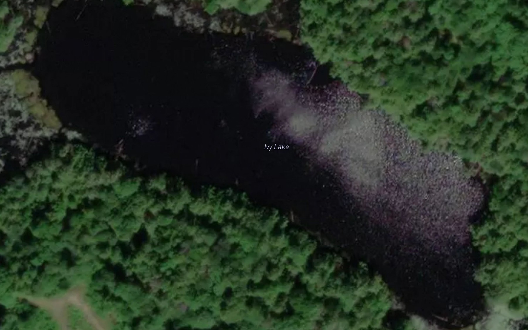 Satellite map of the Ivy Lake