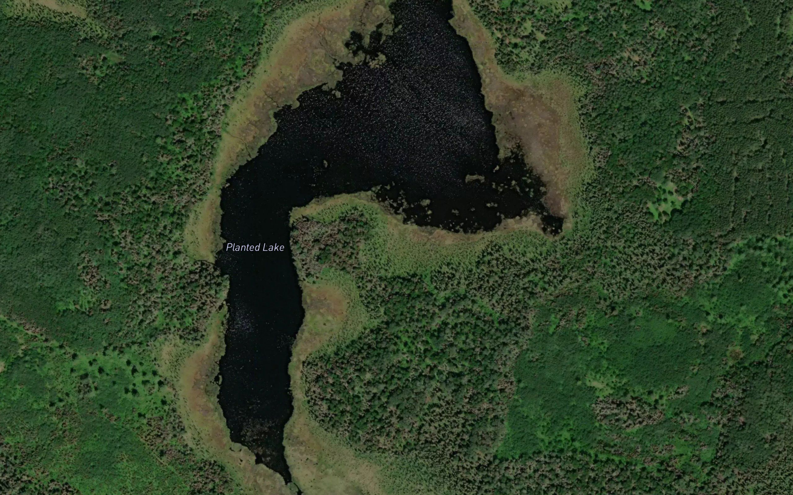 Planted Lake