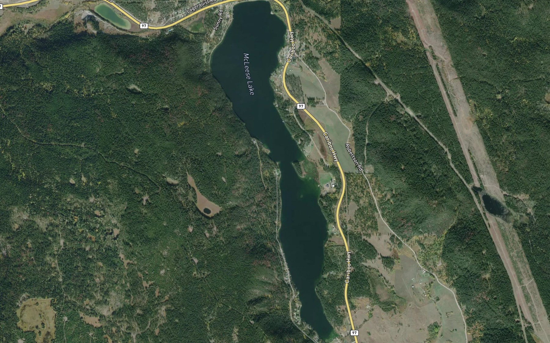 Satellite map of the McLeese Lake