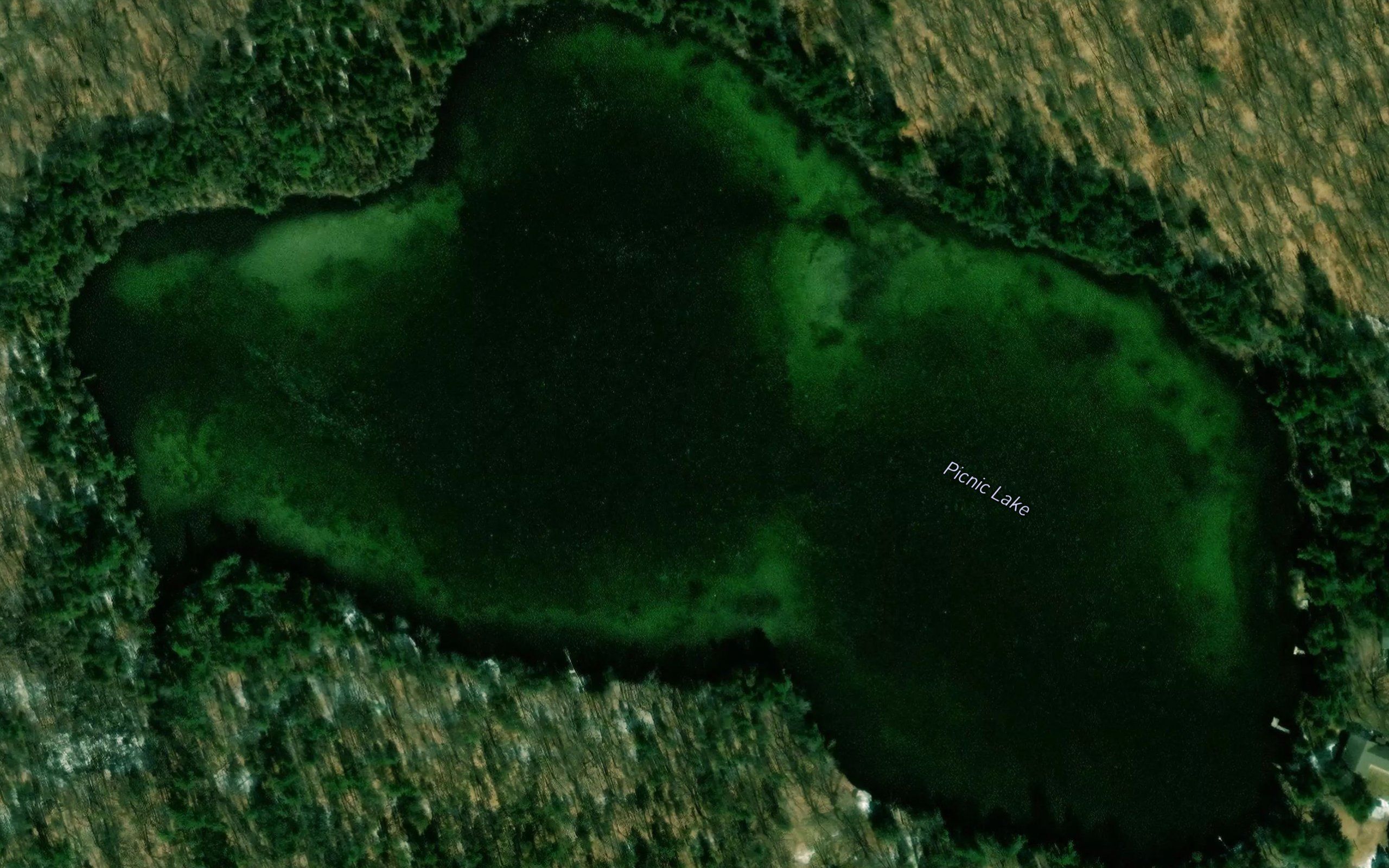 Picnic Lake
