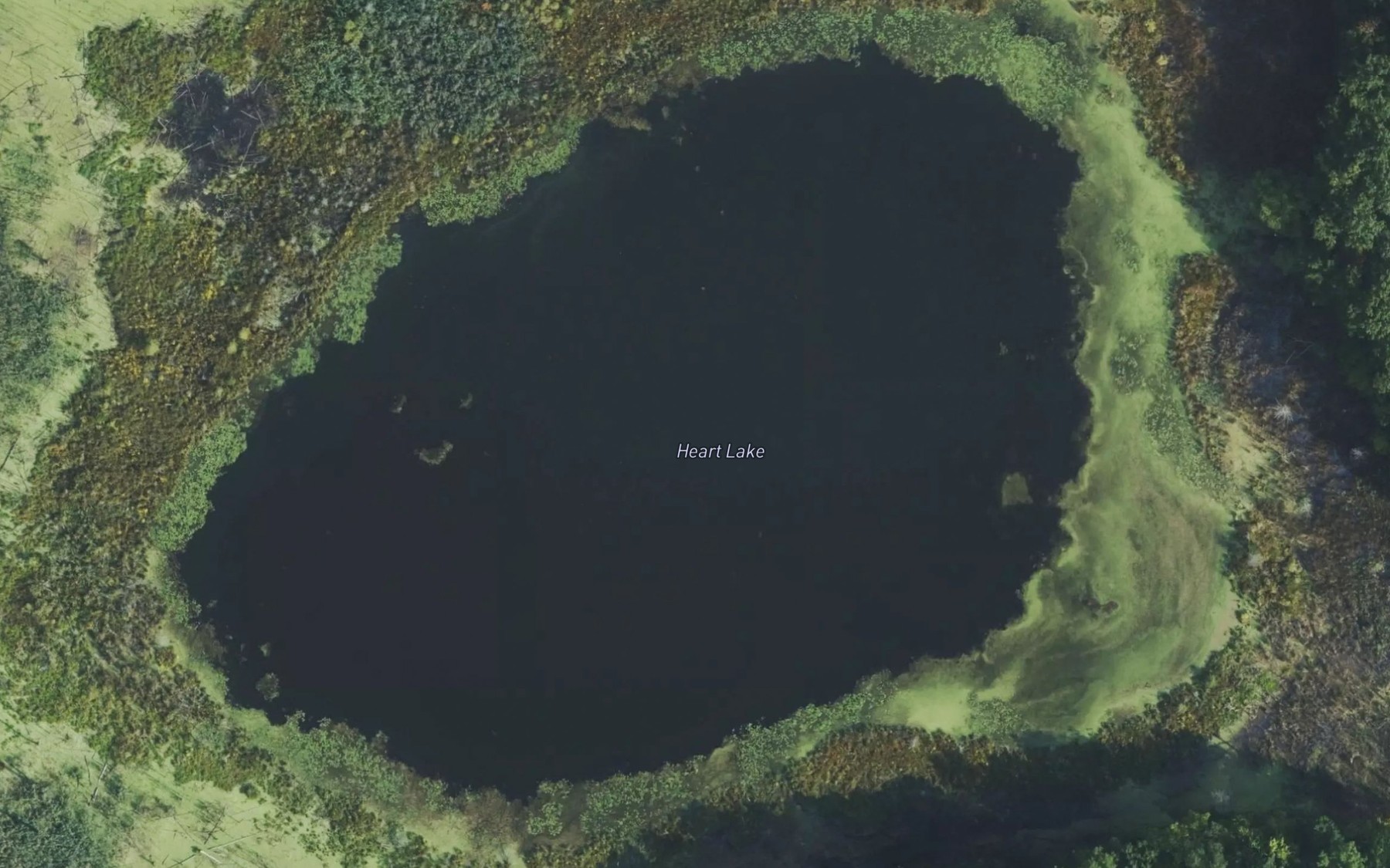 Satellite map of the Heart Lake