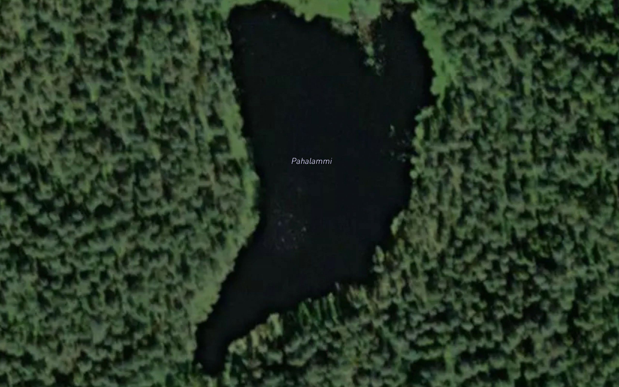 Pahalammi
