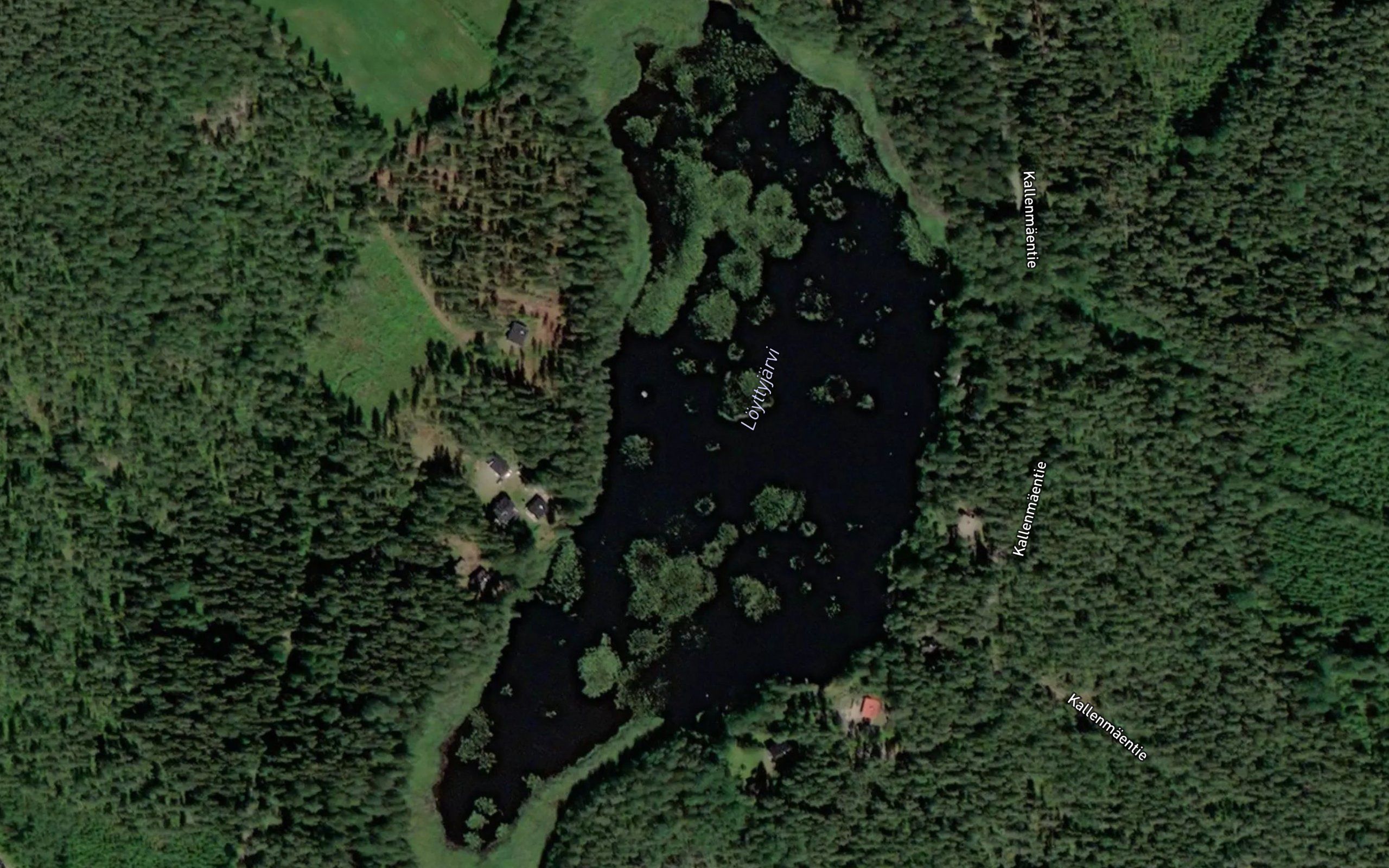 Loyttyjarvi