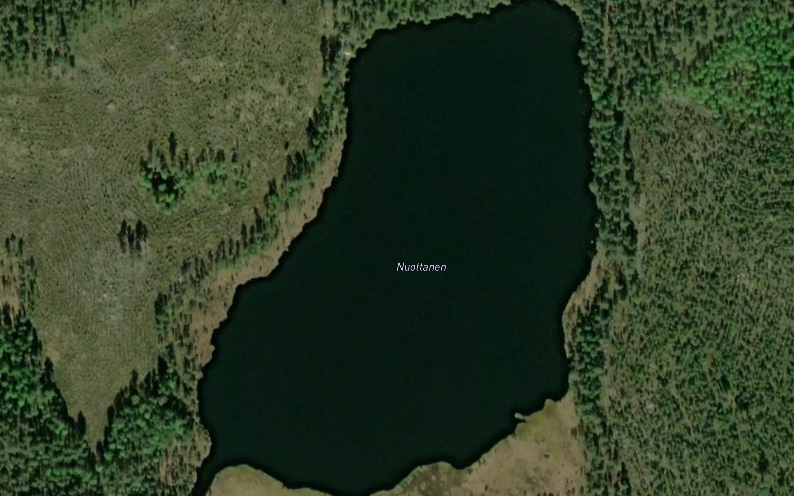 Nuottanen