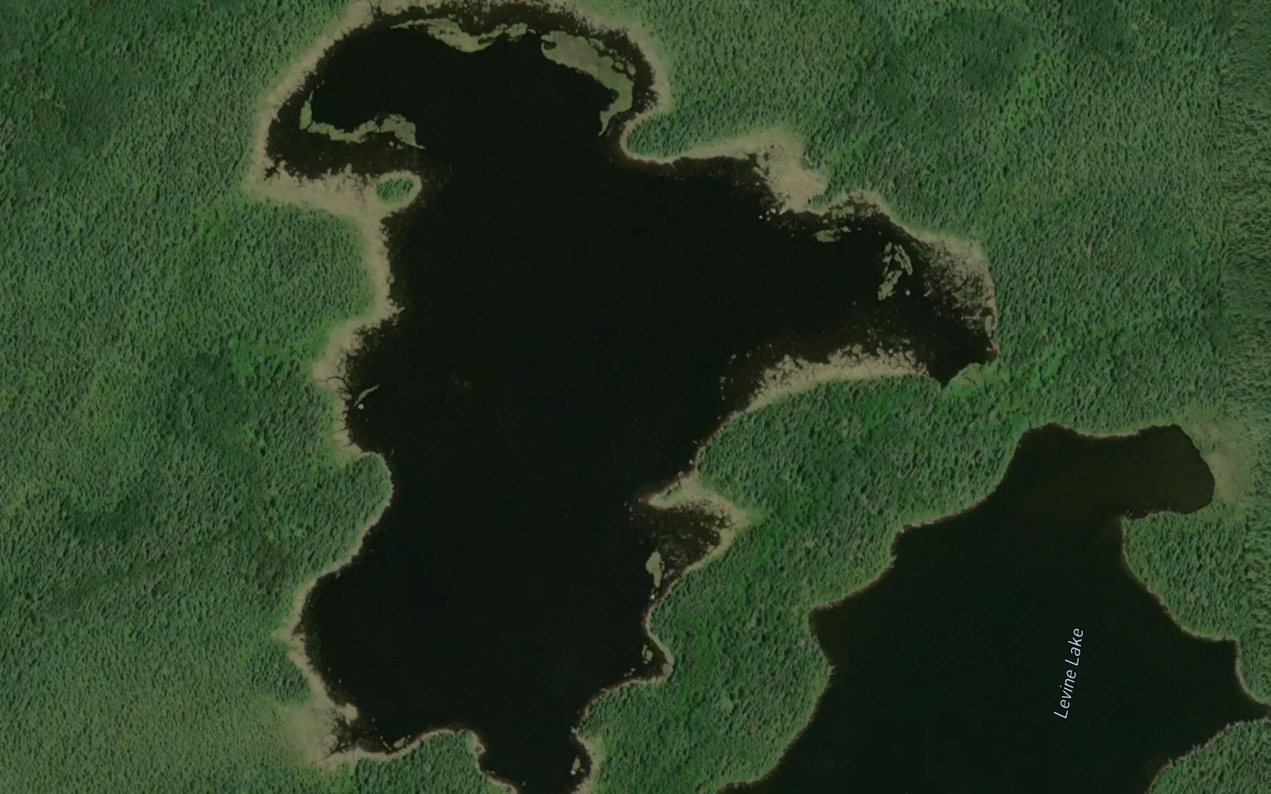 Satellite map of the Chas Lake