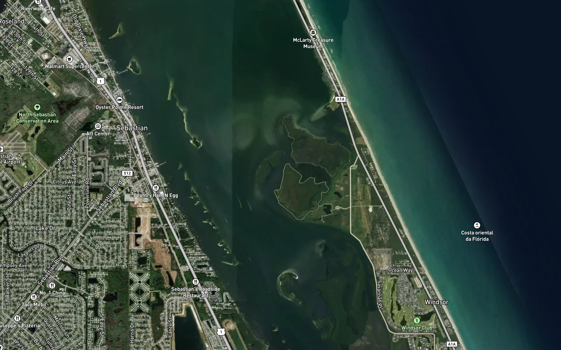Satellite map of the Turtle Pen Slough