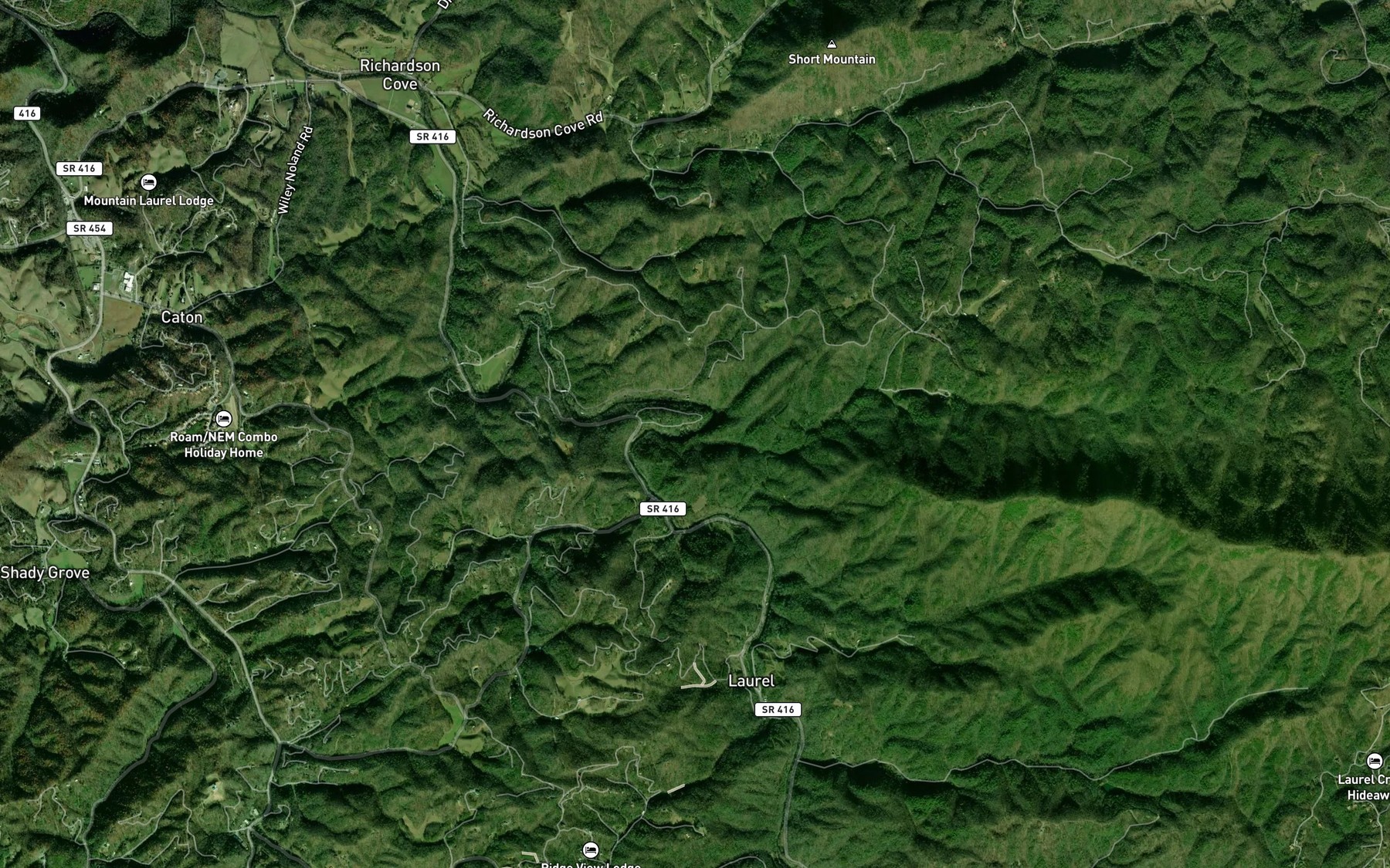 Satellite map of the Henry Branch