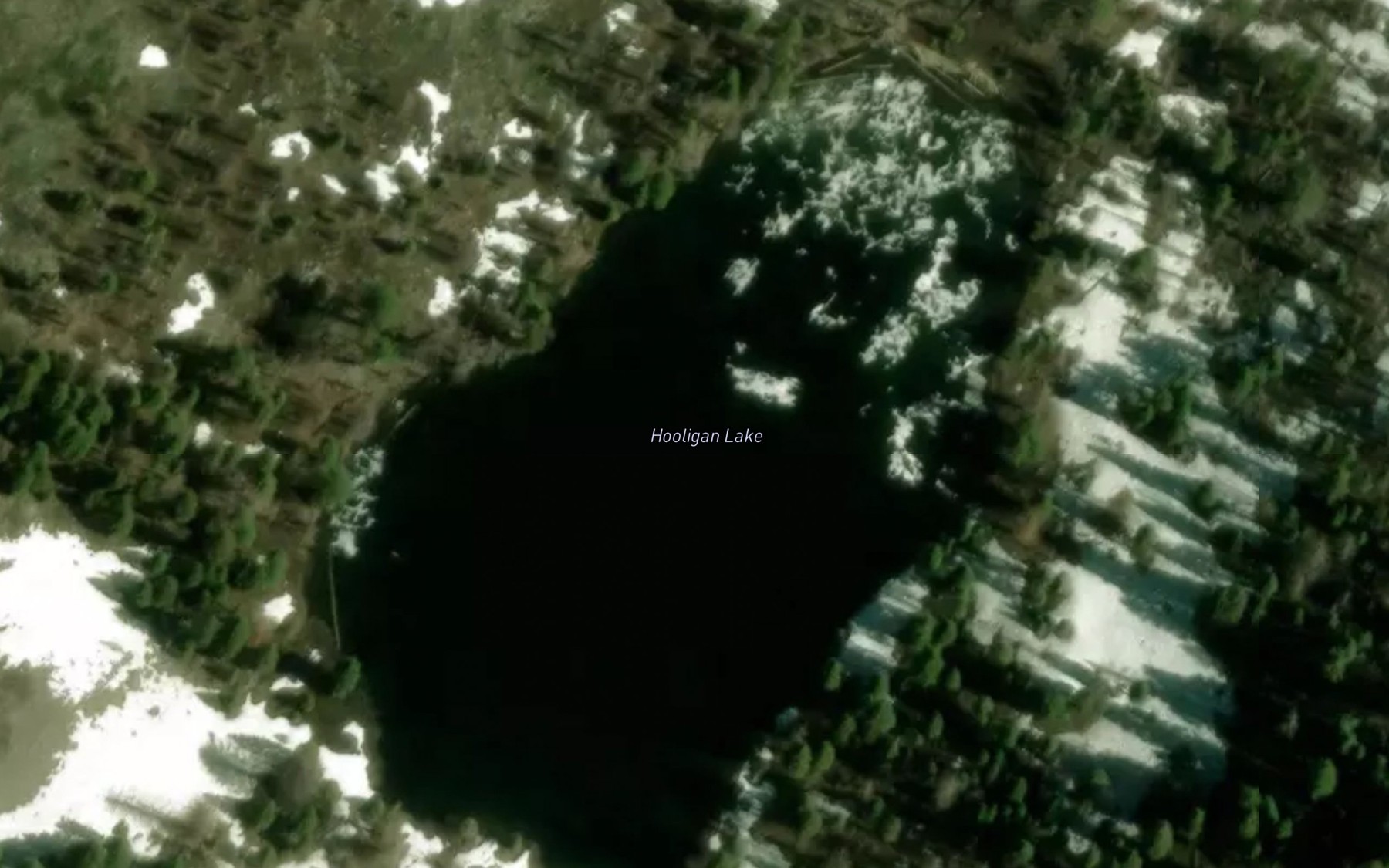 Satellite map of the Hooligan Lake