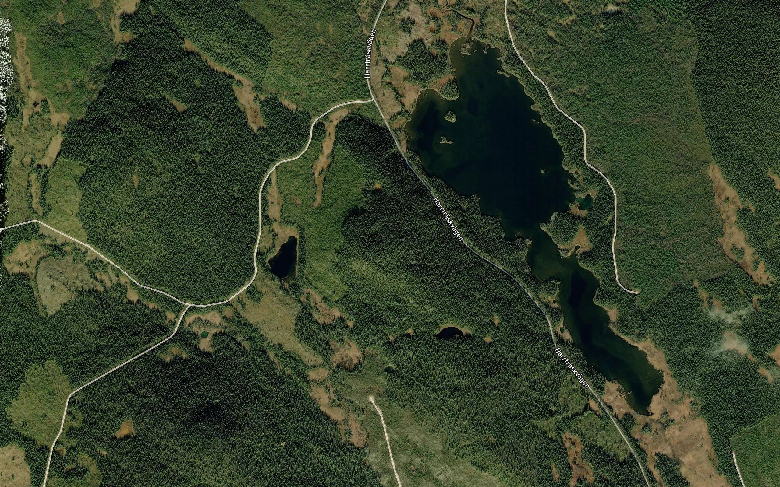 Stora Harrtrasket