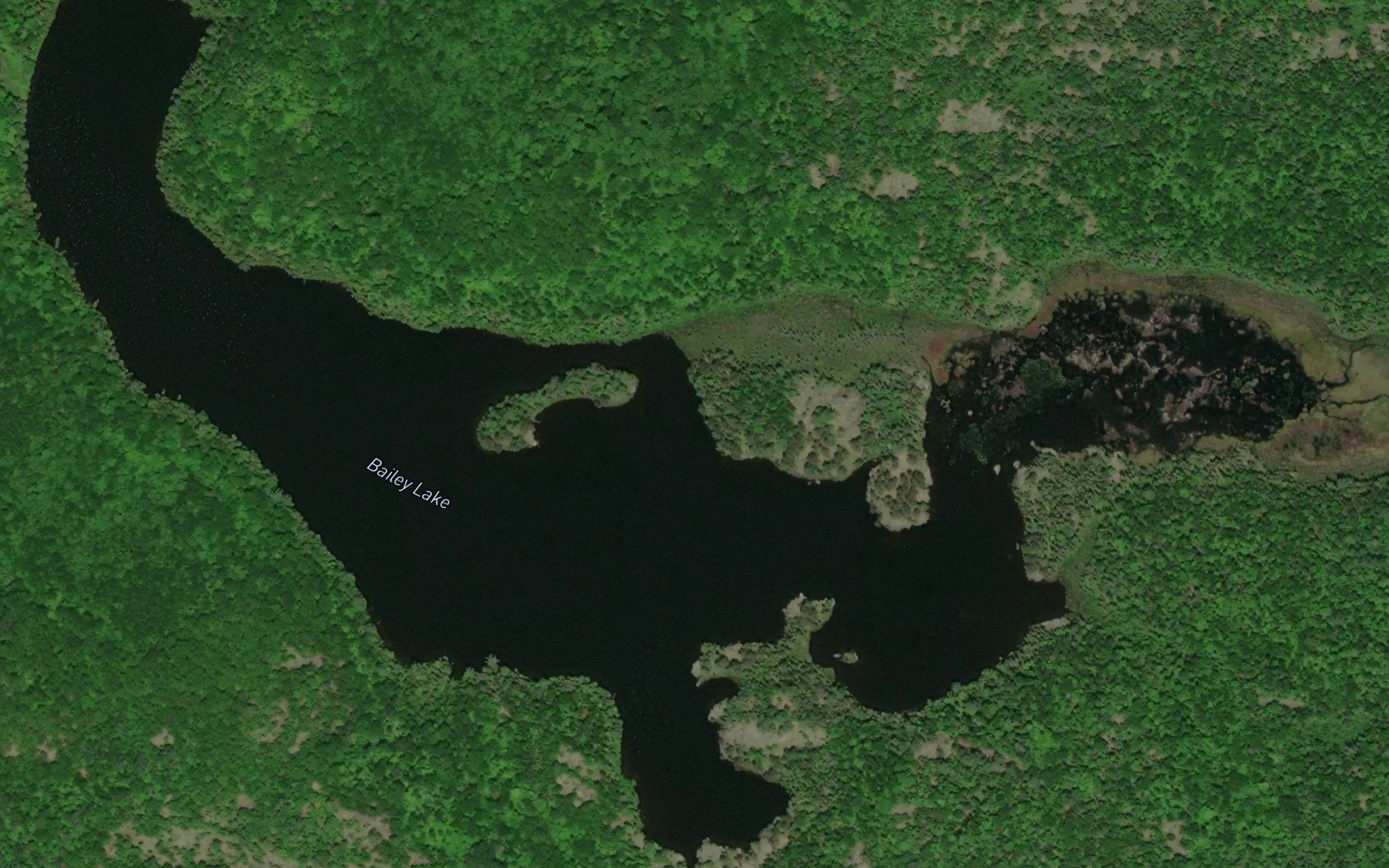 Bailey Lake