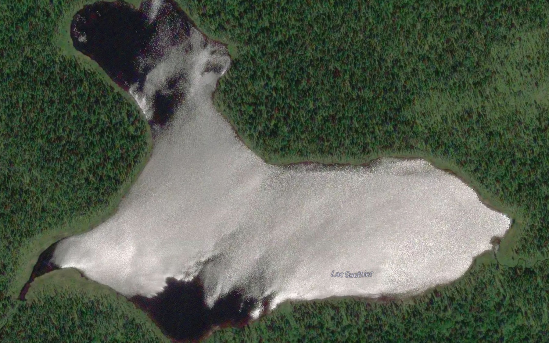 Satellite map of the Lac Gauthier