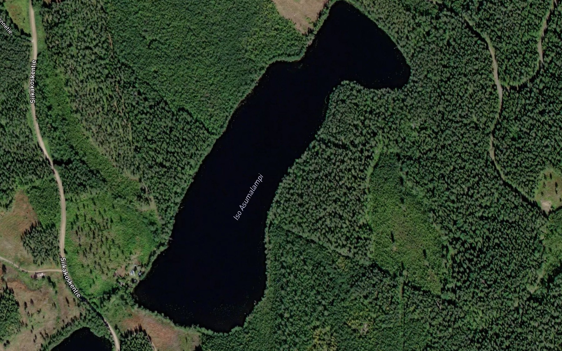 Satellite map of the Iso Asumalampi