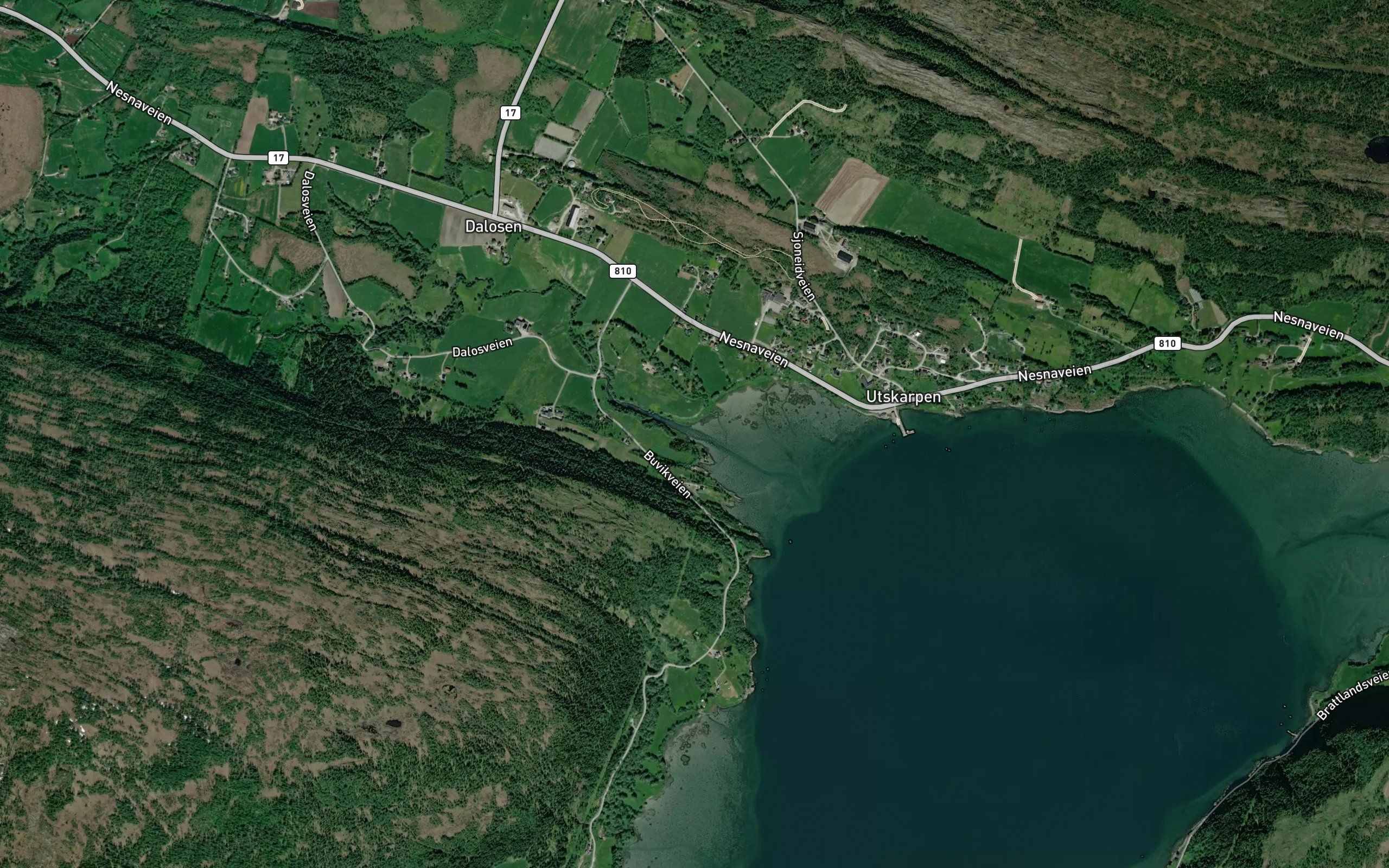 Dalosleira