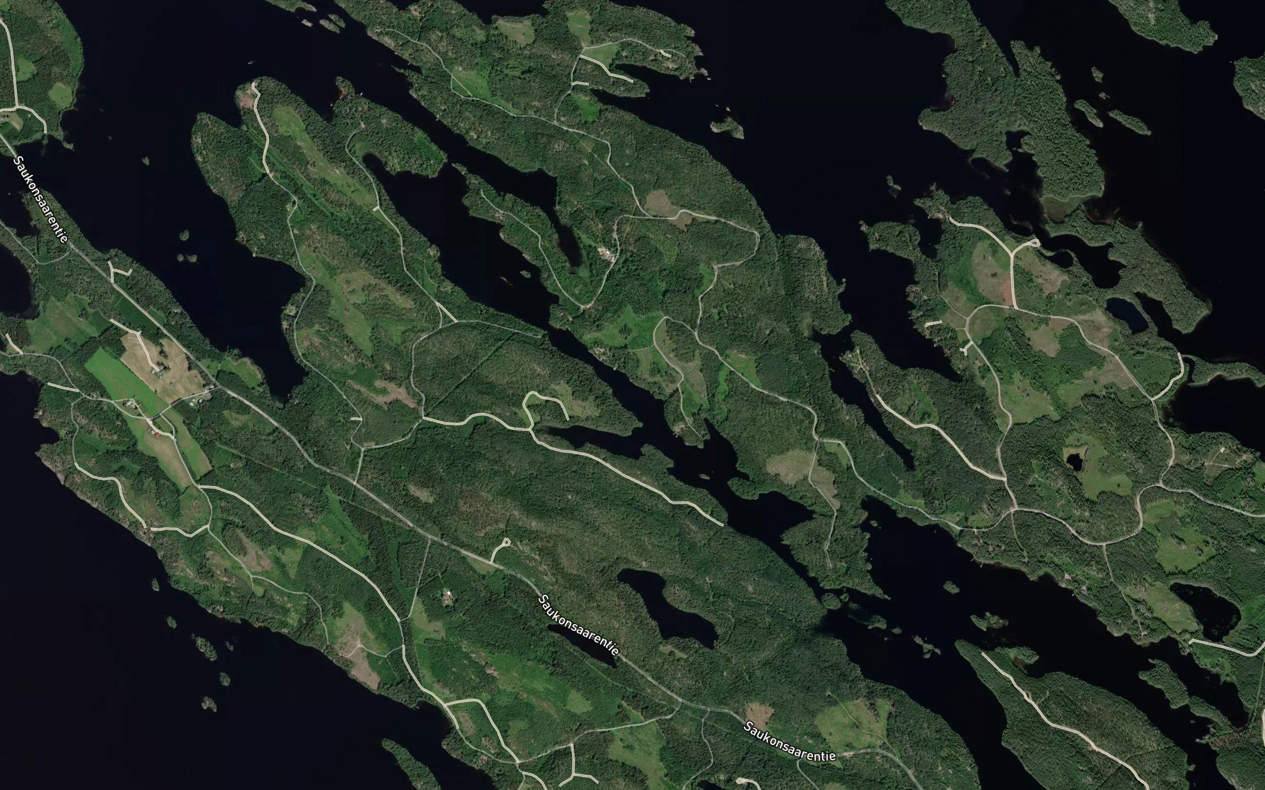 Monosalmi
