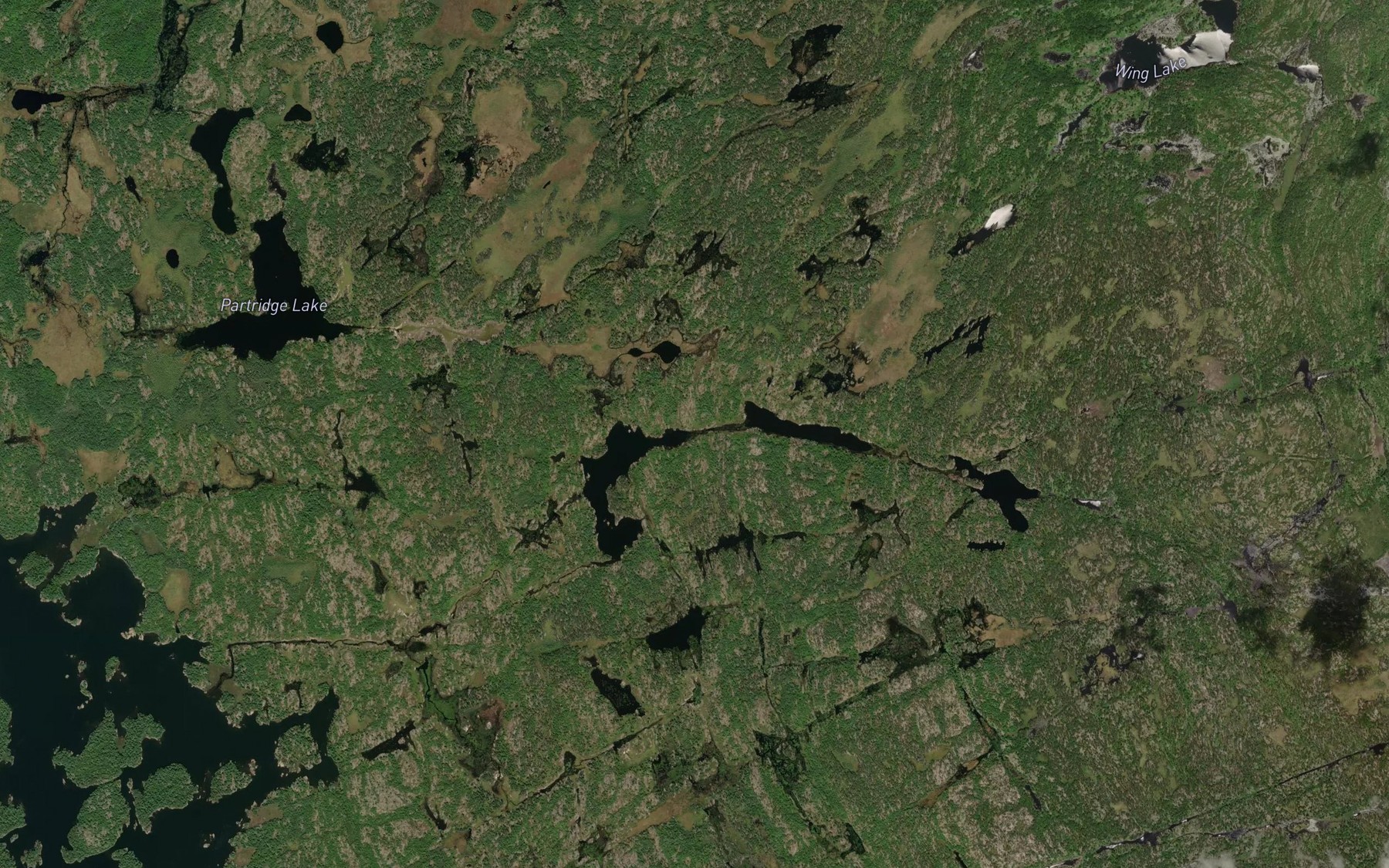 Satellite map of the Loon Lake