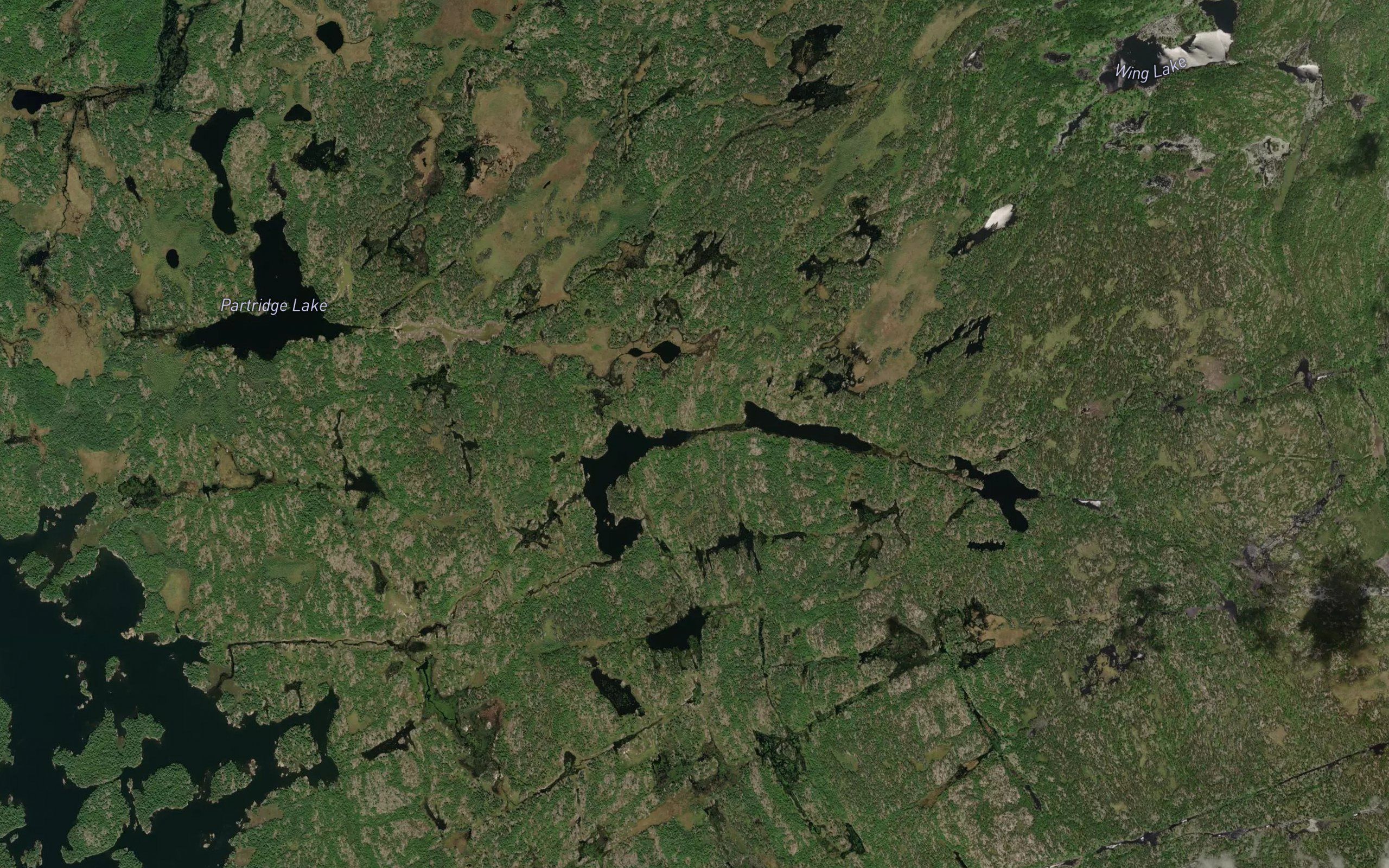 Loon Lake