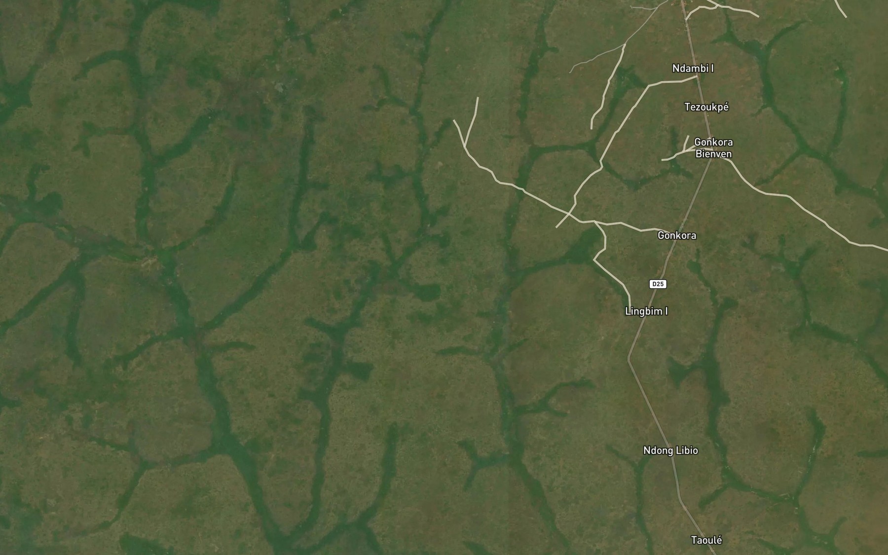 Satellite map of the Guenguen