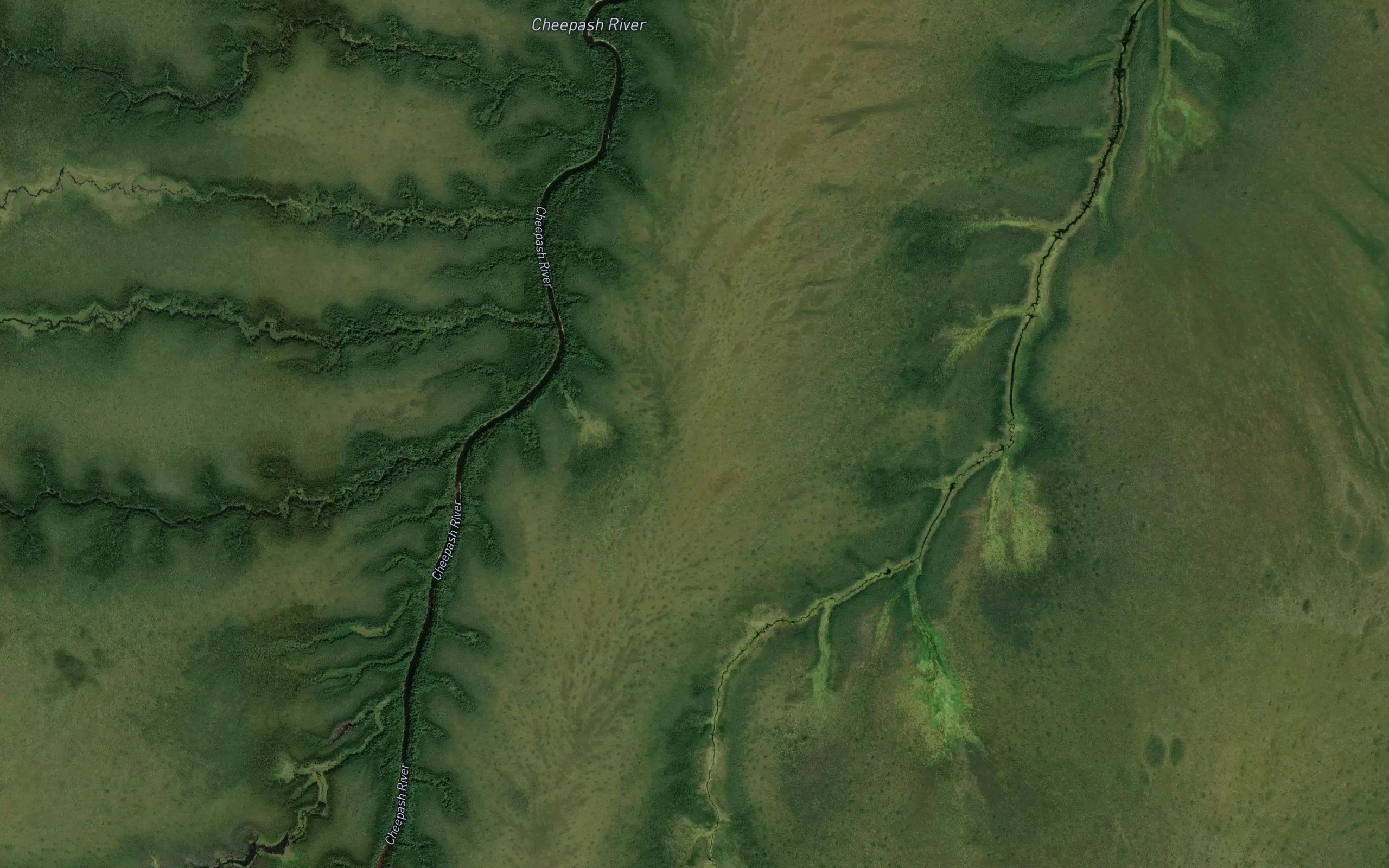 Birdsall Creek