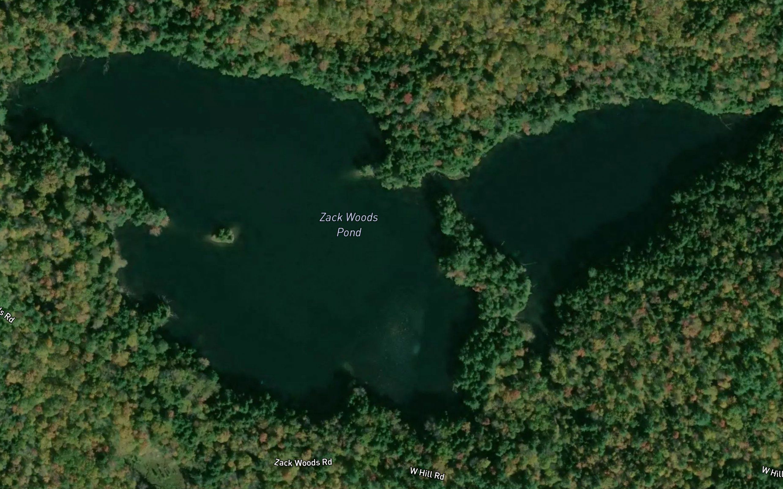 Zack Woods Pond