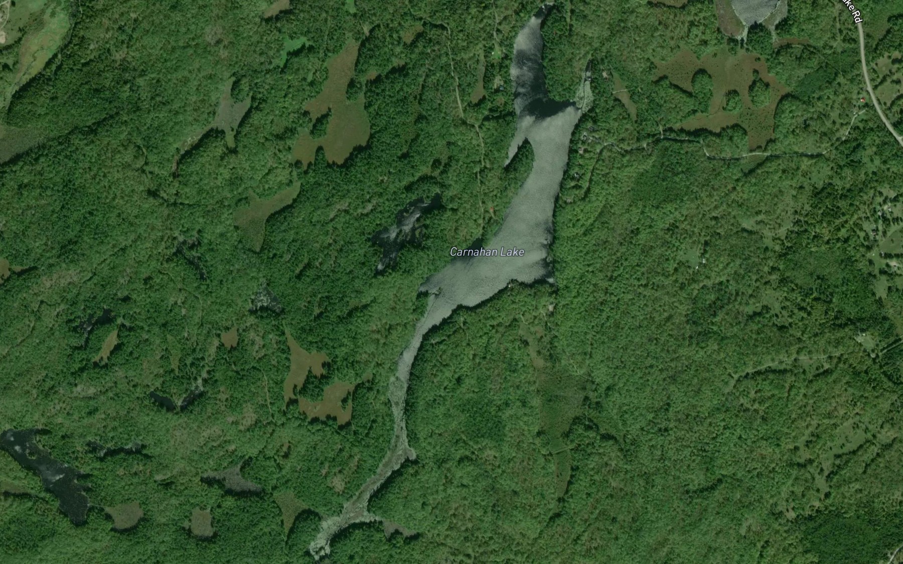 Satellite map of the Carnahan Lake