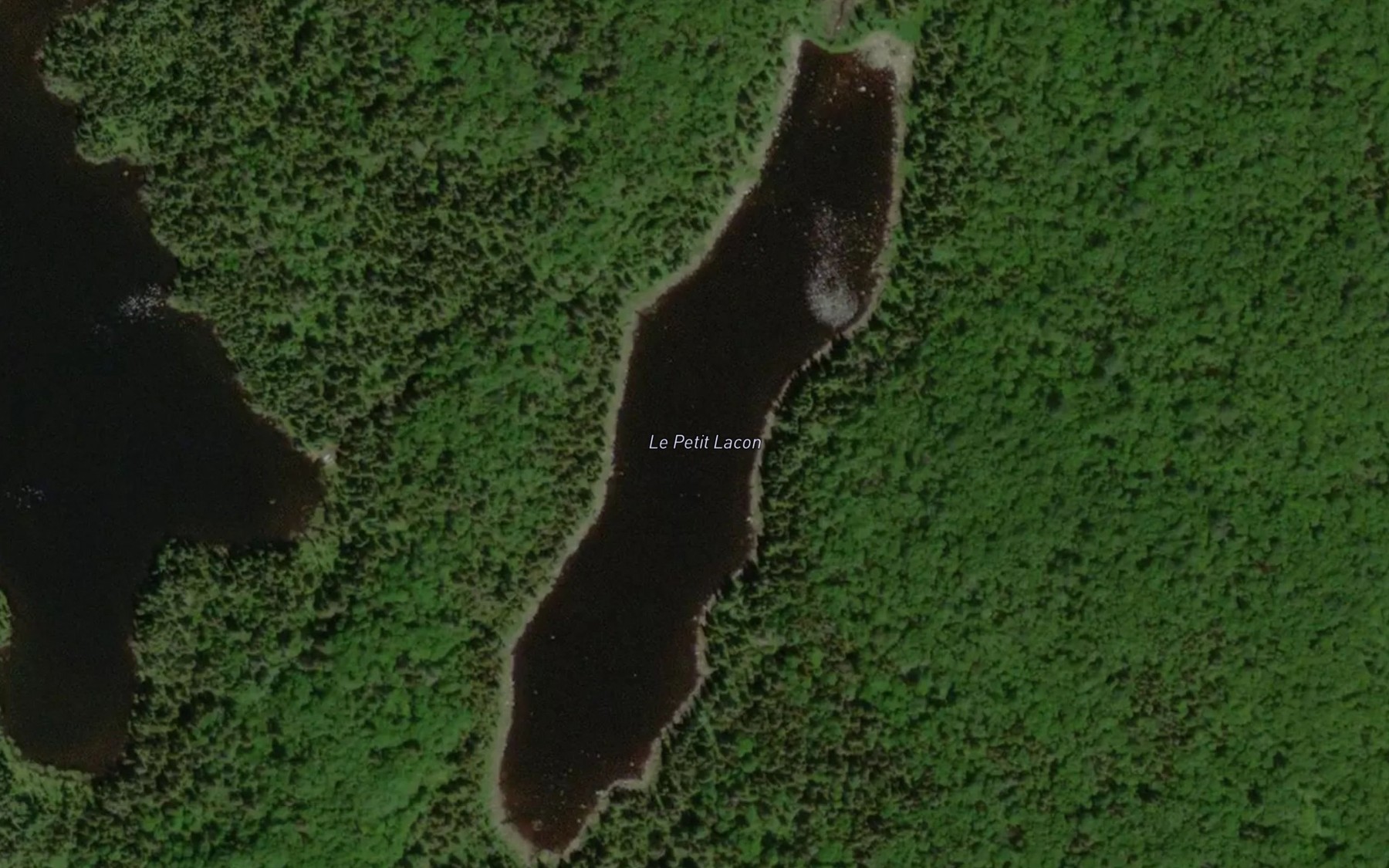Satellite map of the Le Petit Lacon