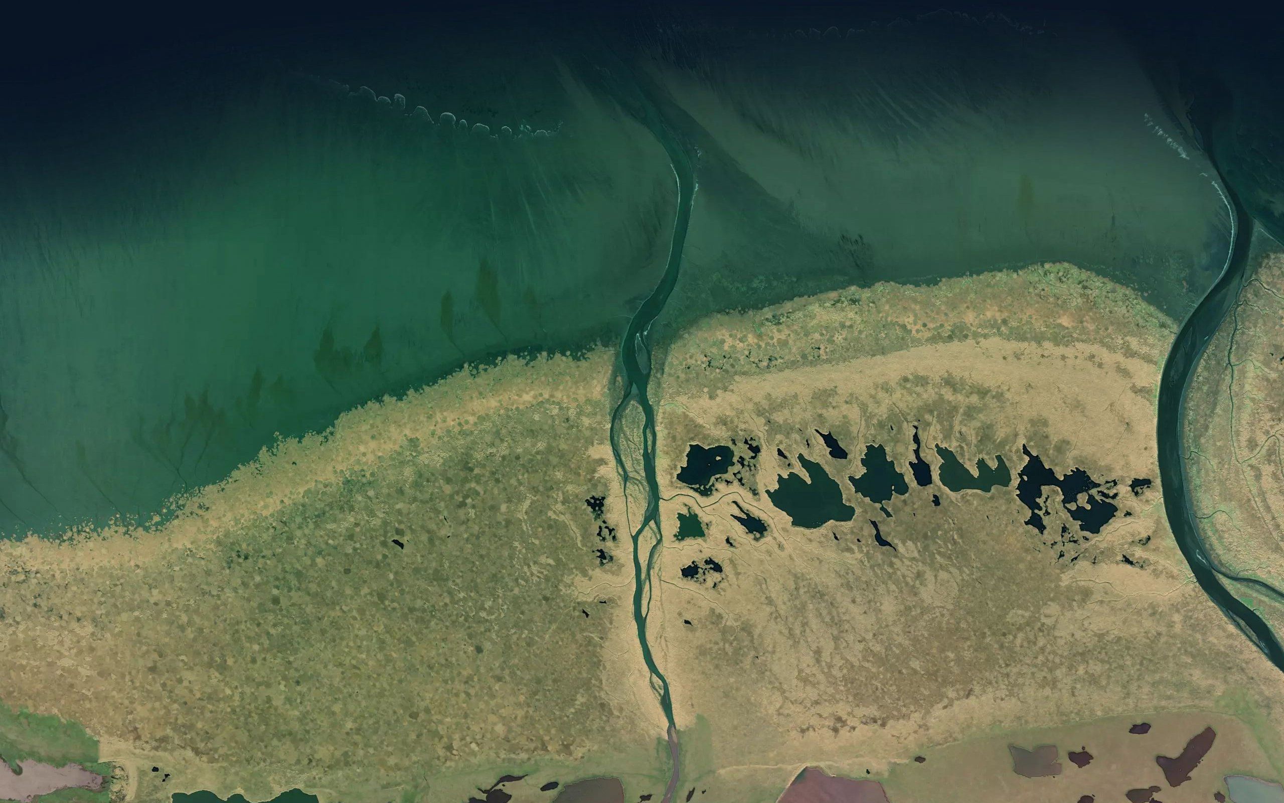 Yellow Bluff Creek