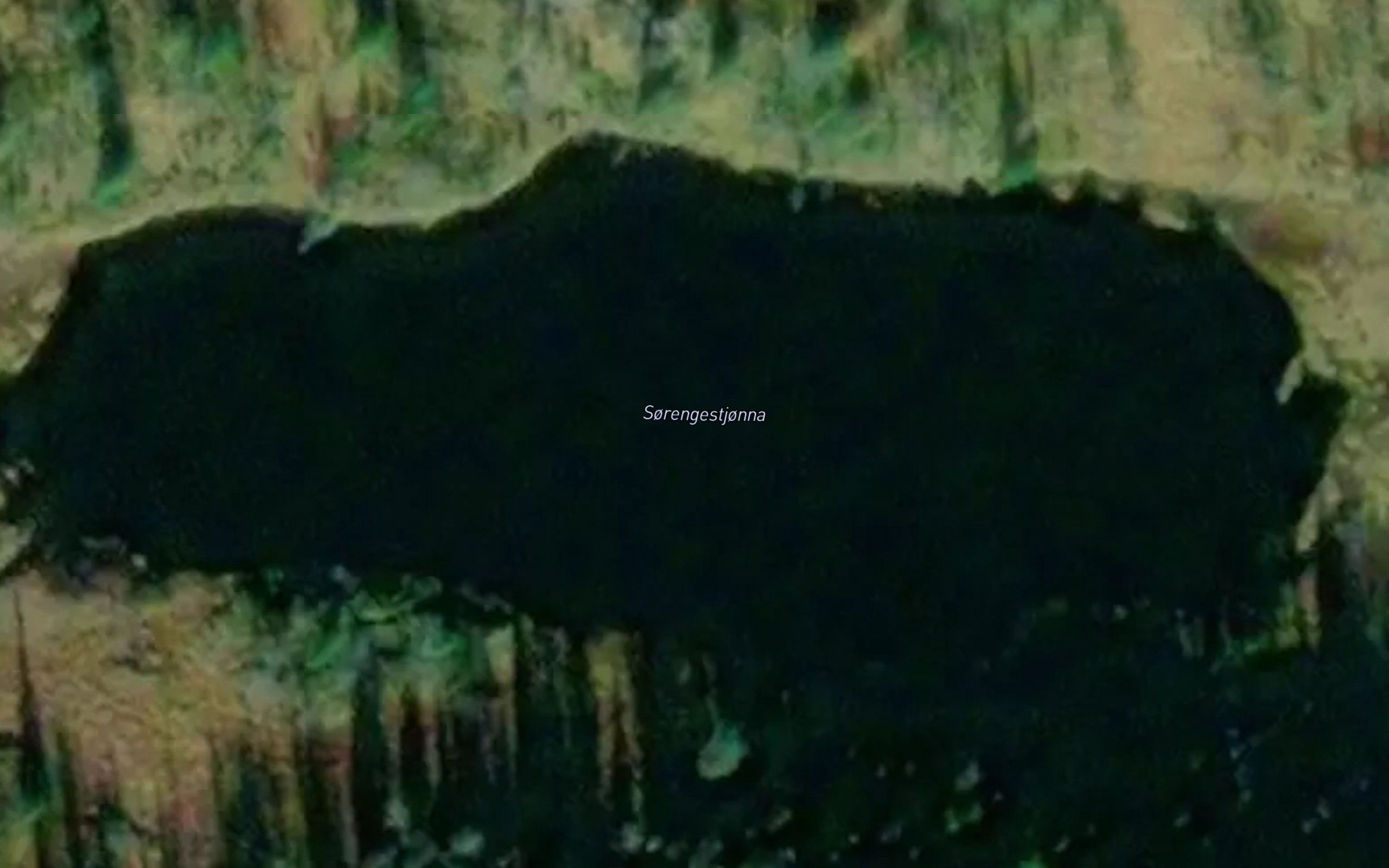 Sorengestjorna