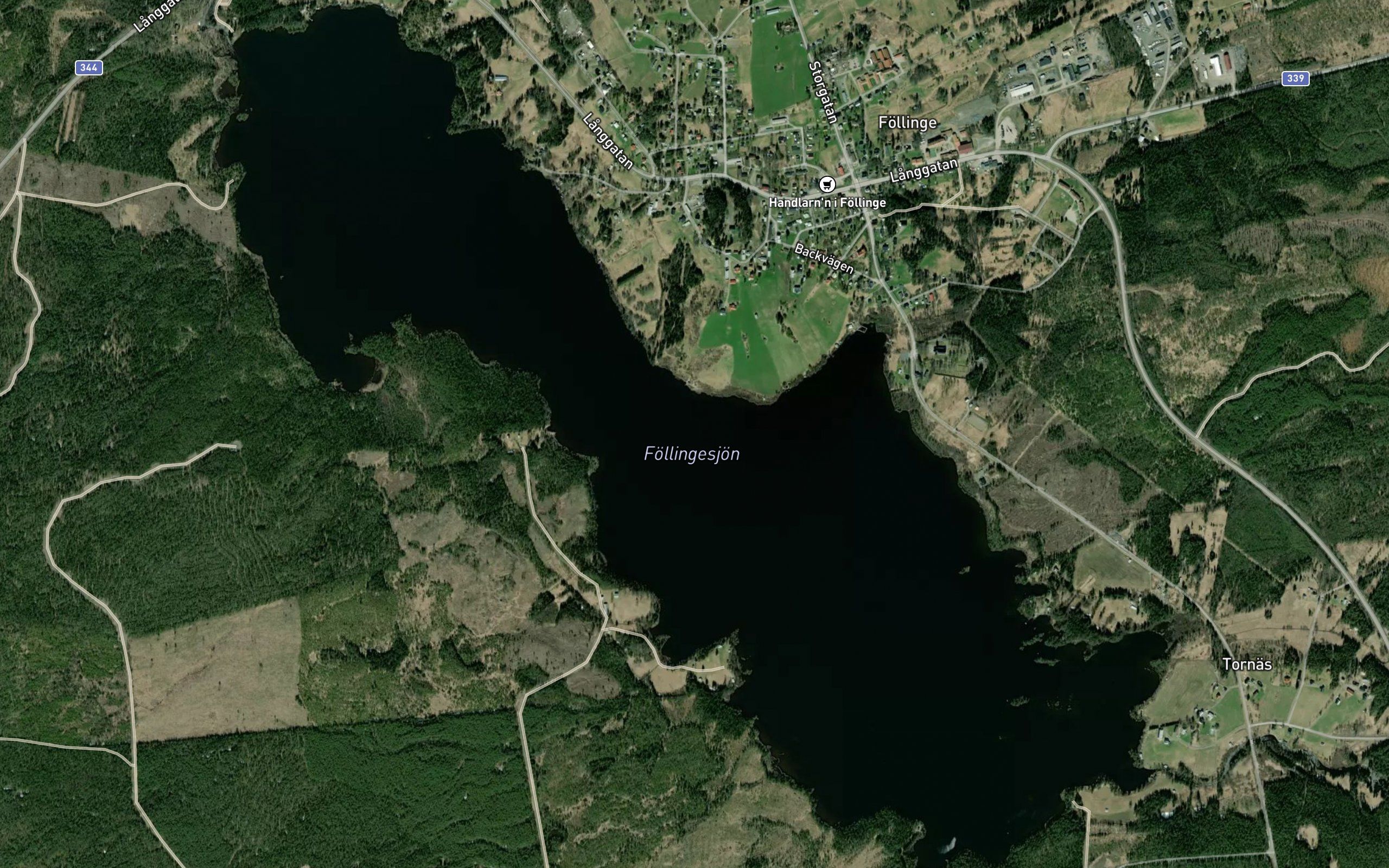 Foellingesjoen