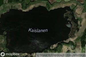 Kaislanen