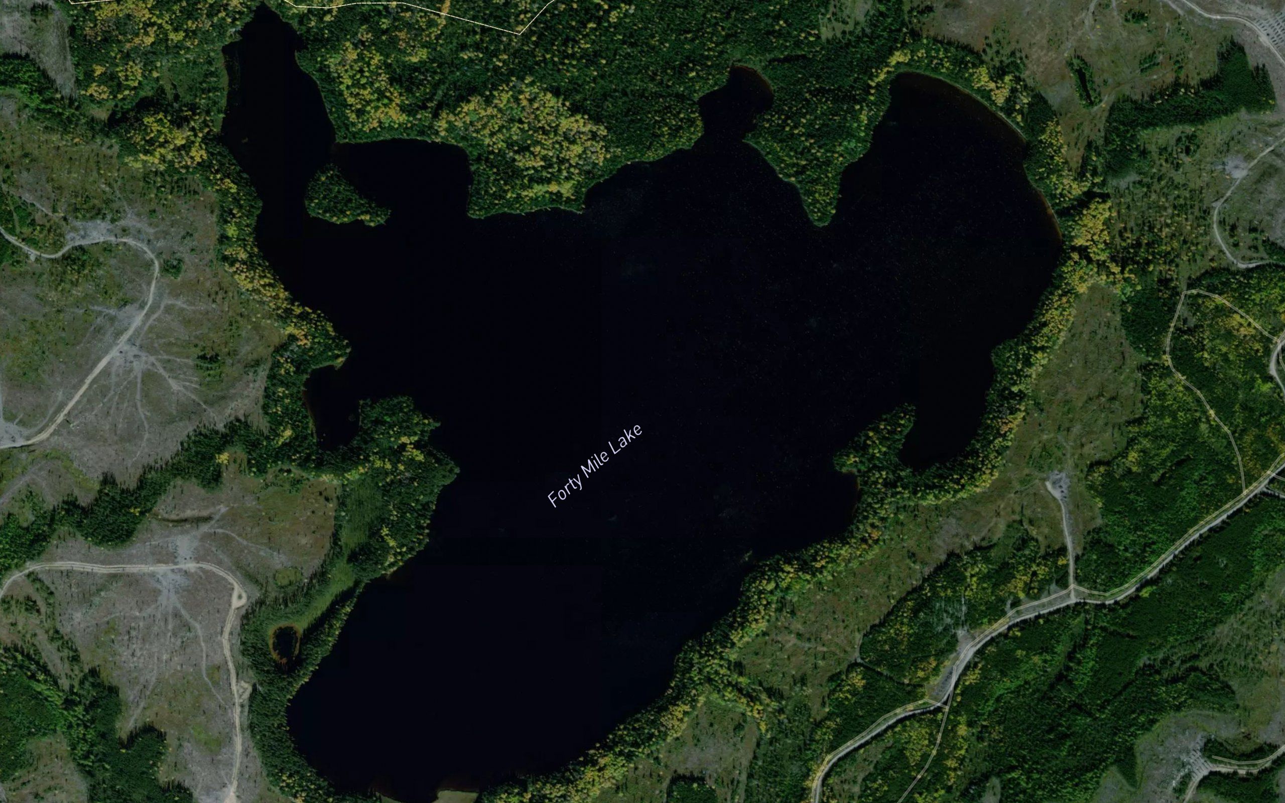 Forty Mile Lake