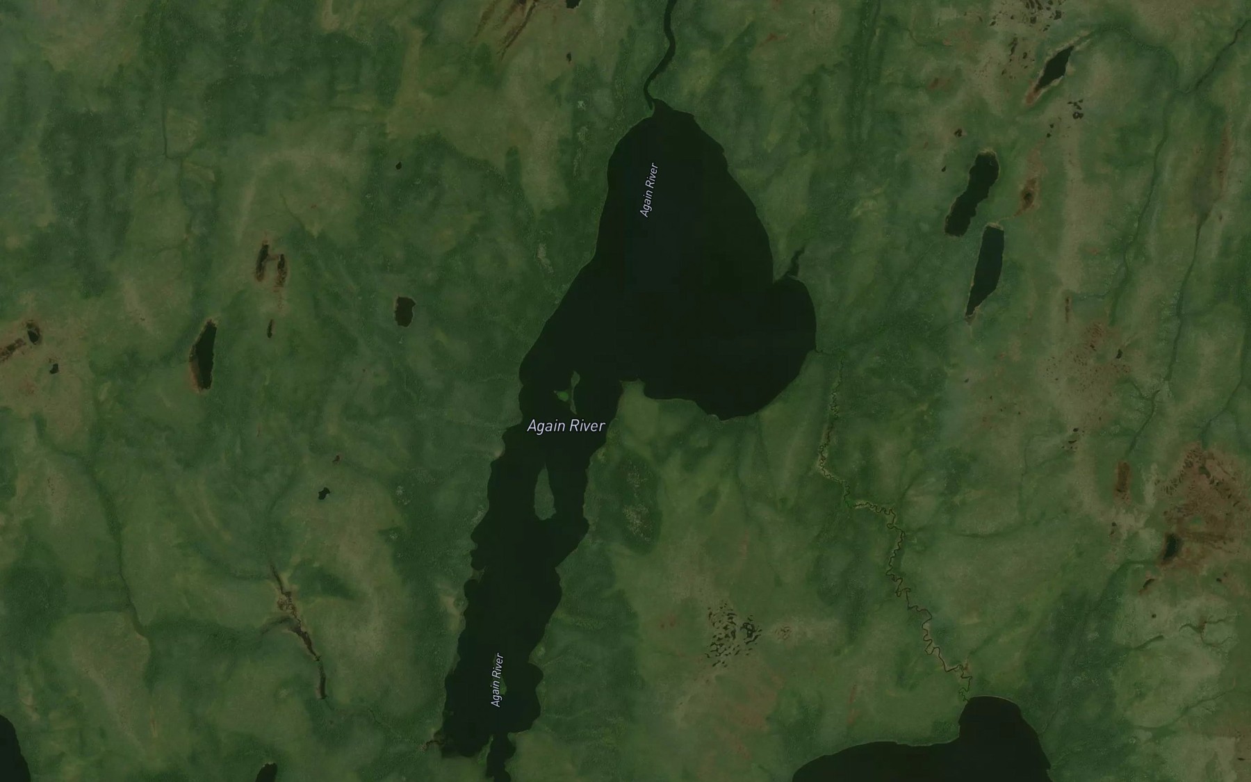 Satellite map of the Pataneyau Lake