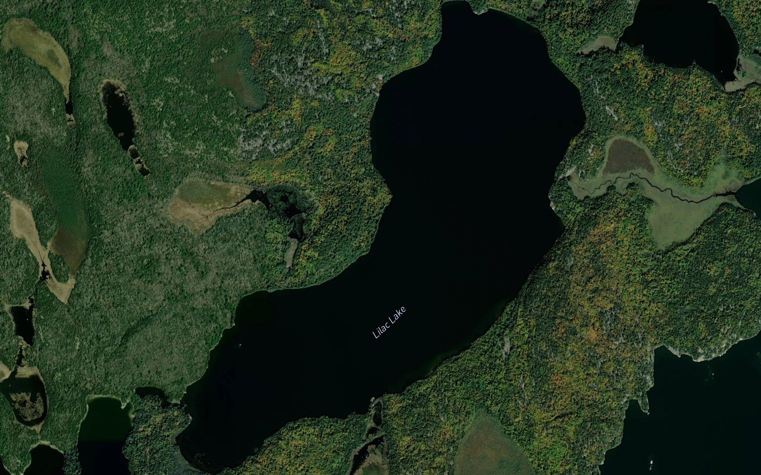 Lilac Lake