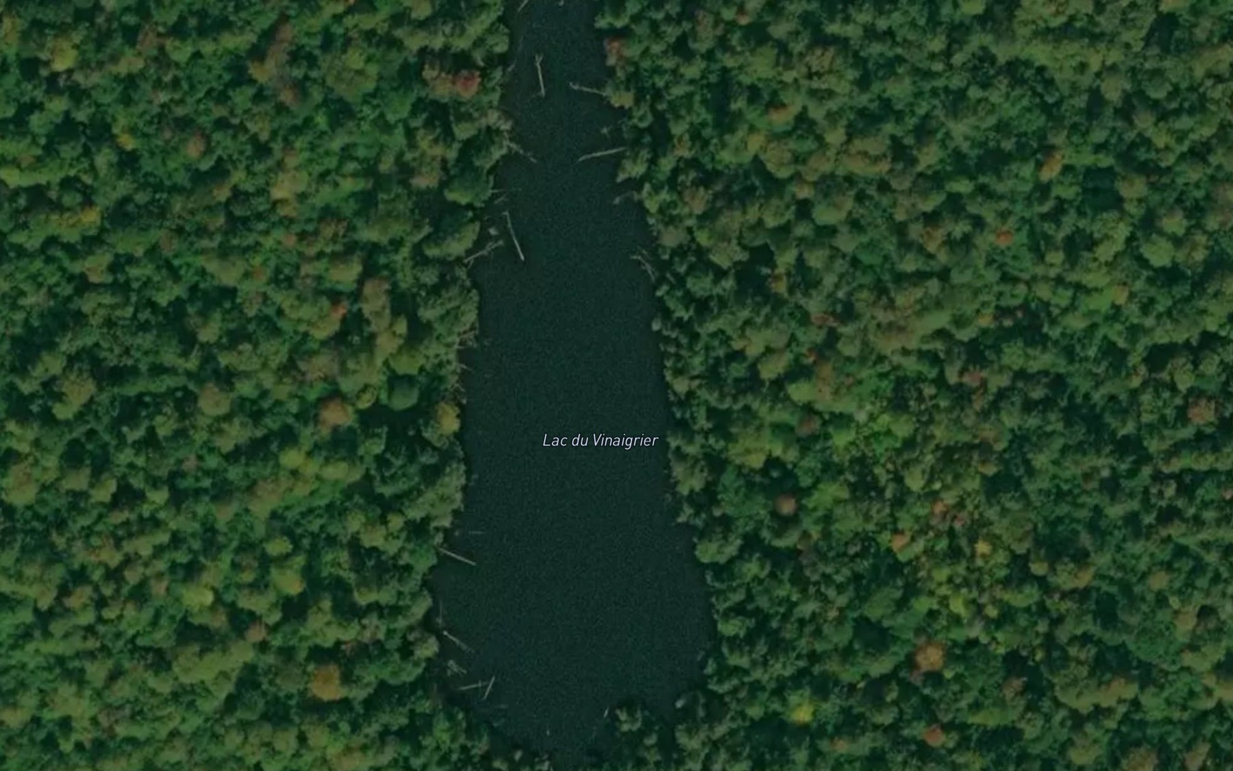 Satellite map of the Lac du Vinaigrier