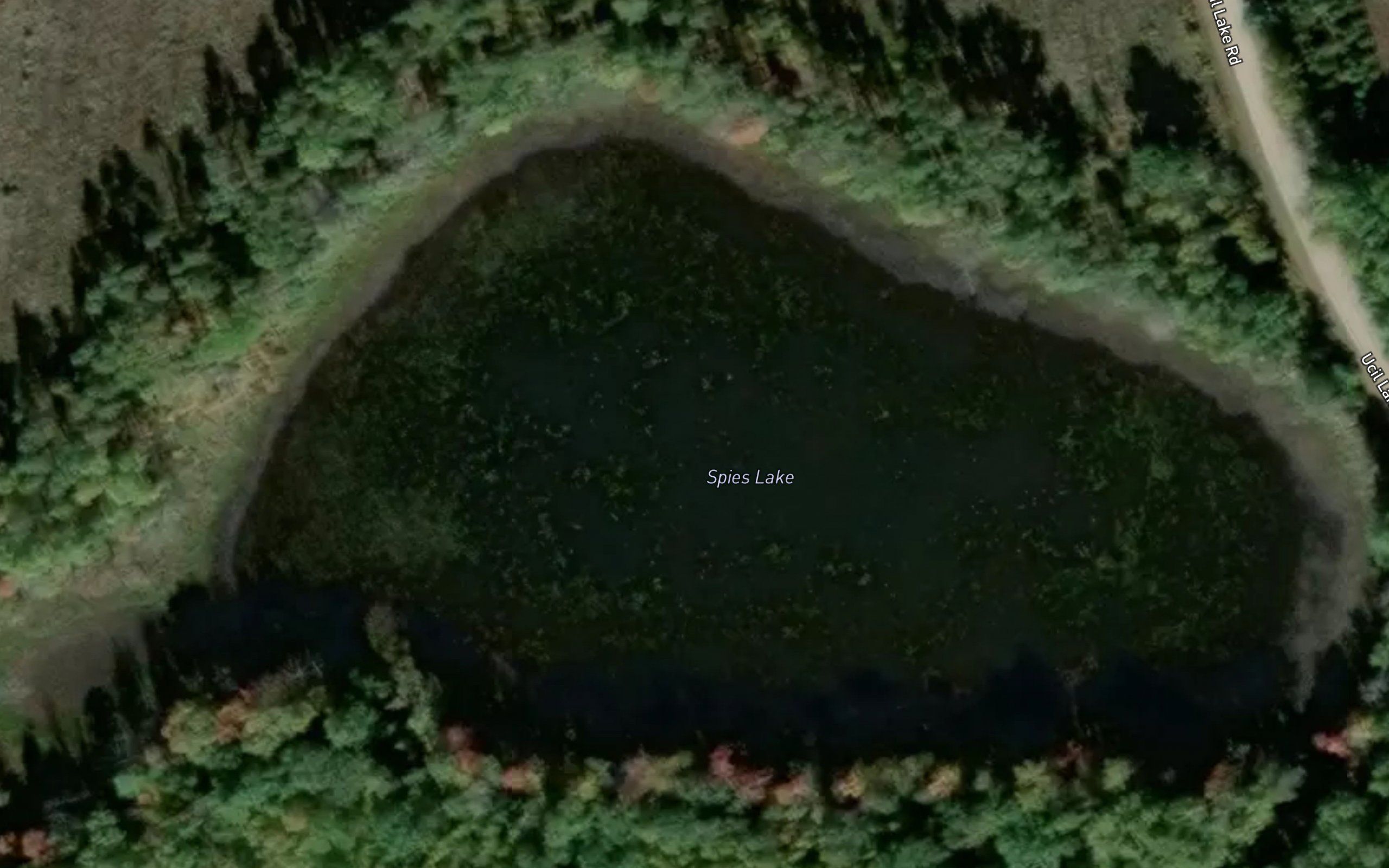 Spies Lake
