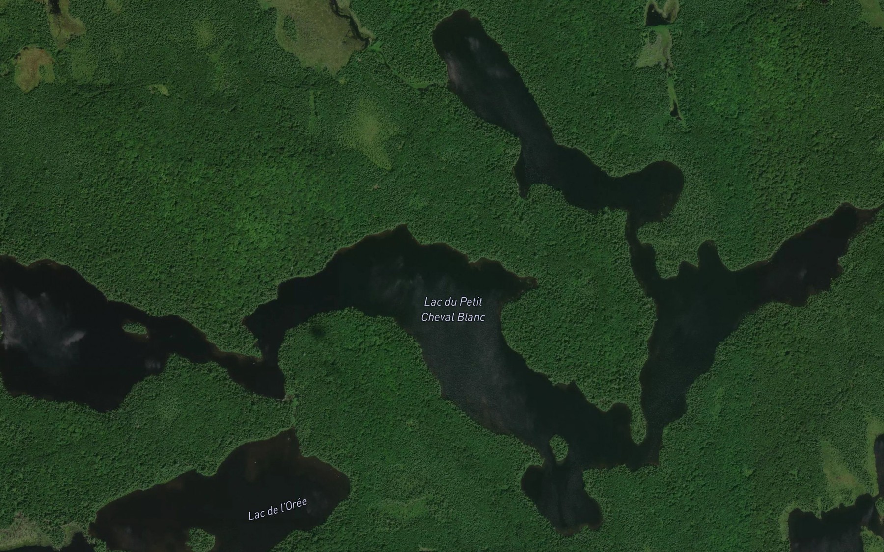 Satellite map of the Lac du Petit Cheval Blanc