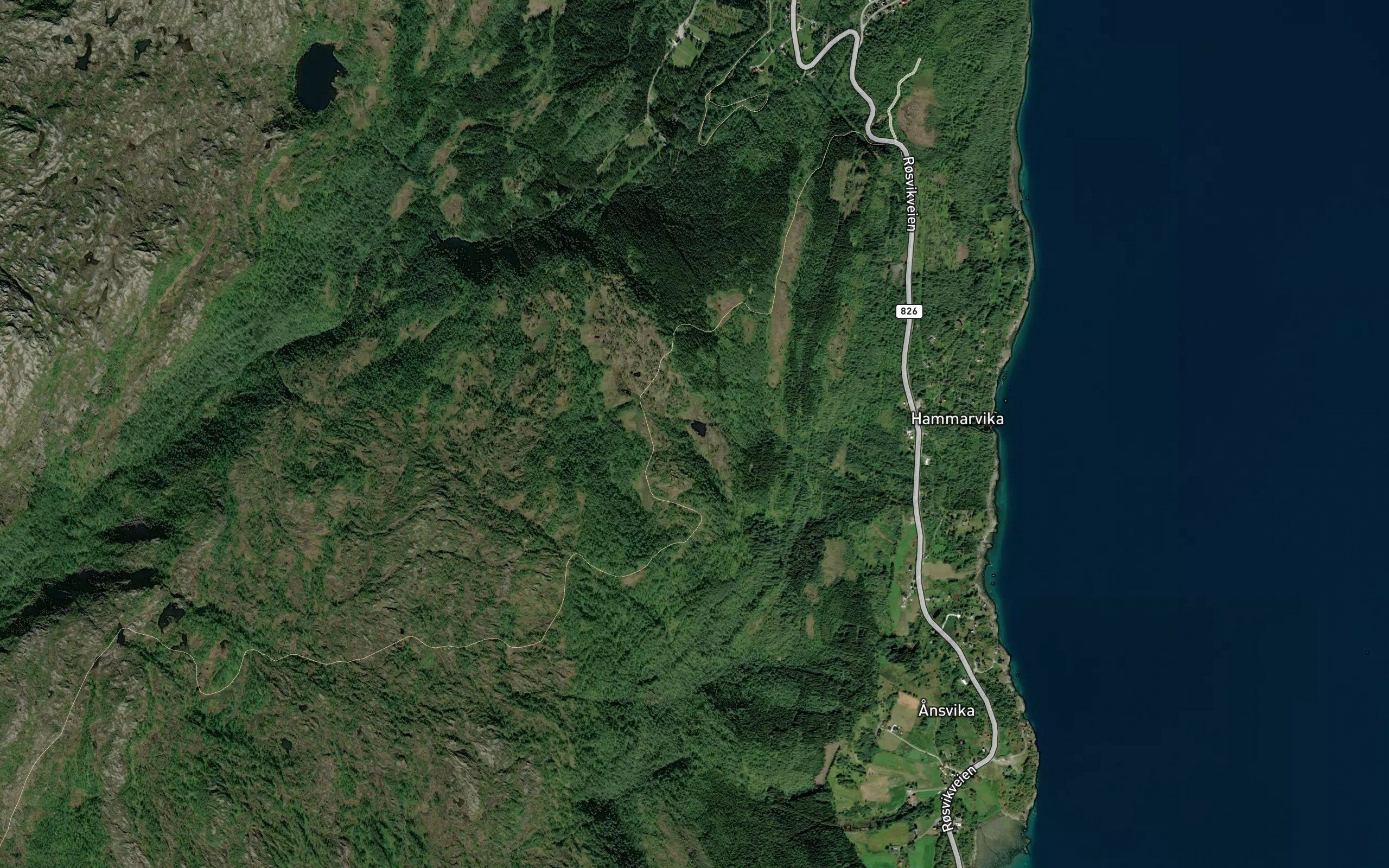 Lomtjorna