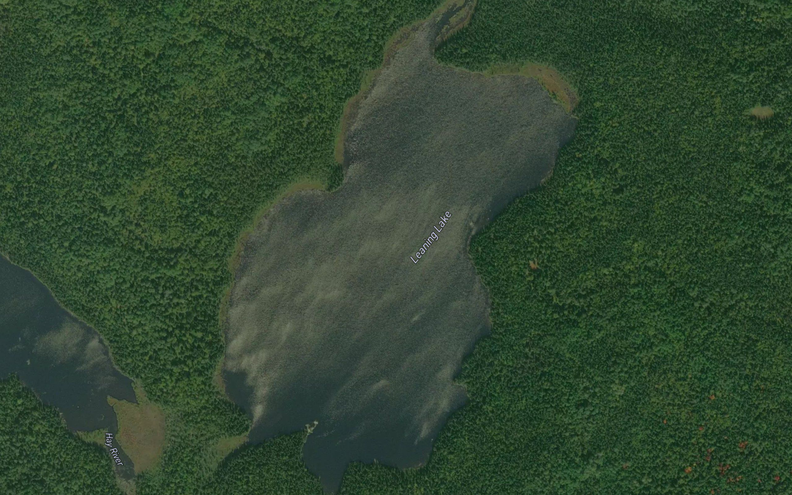 Leaning Lake