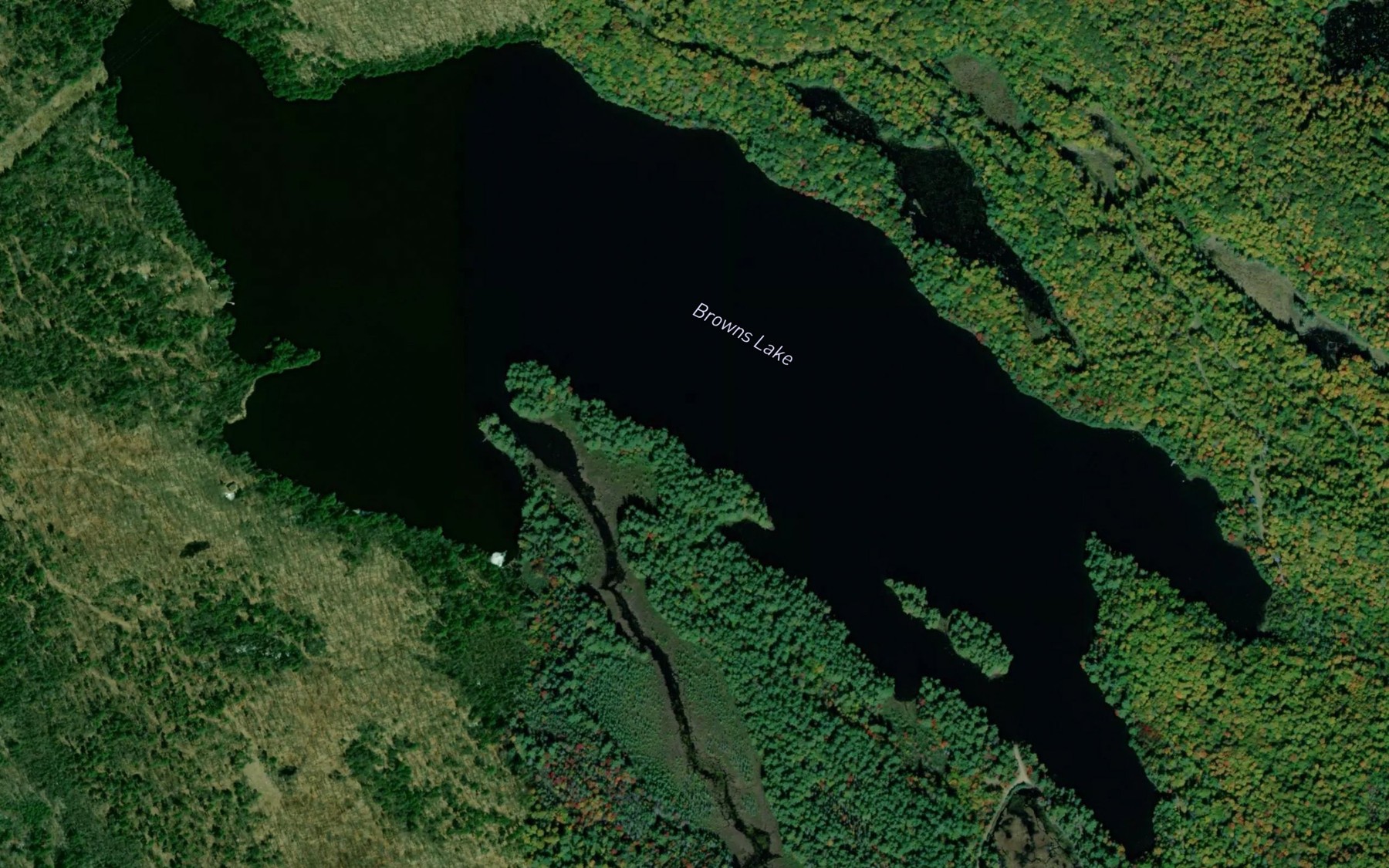 Satellite map of the Browns Lake