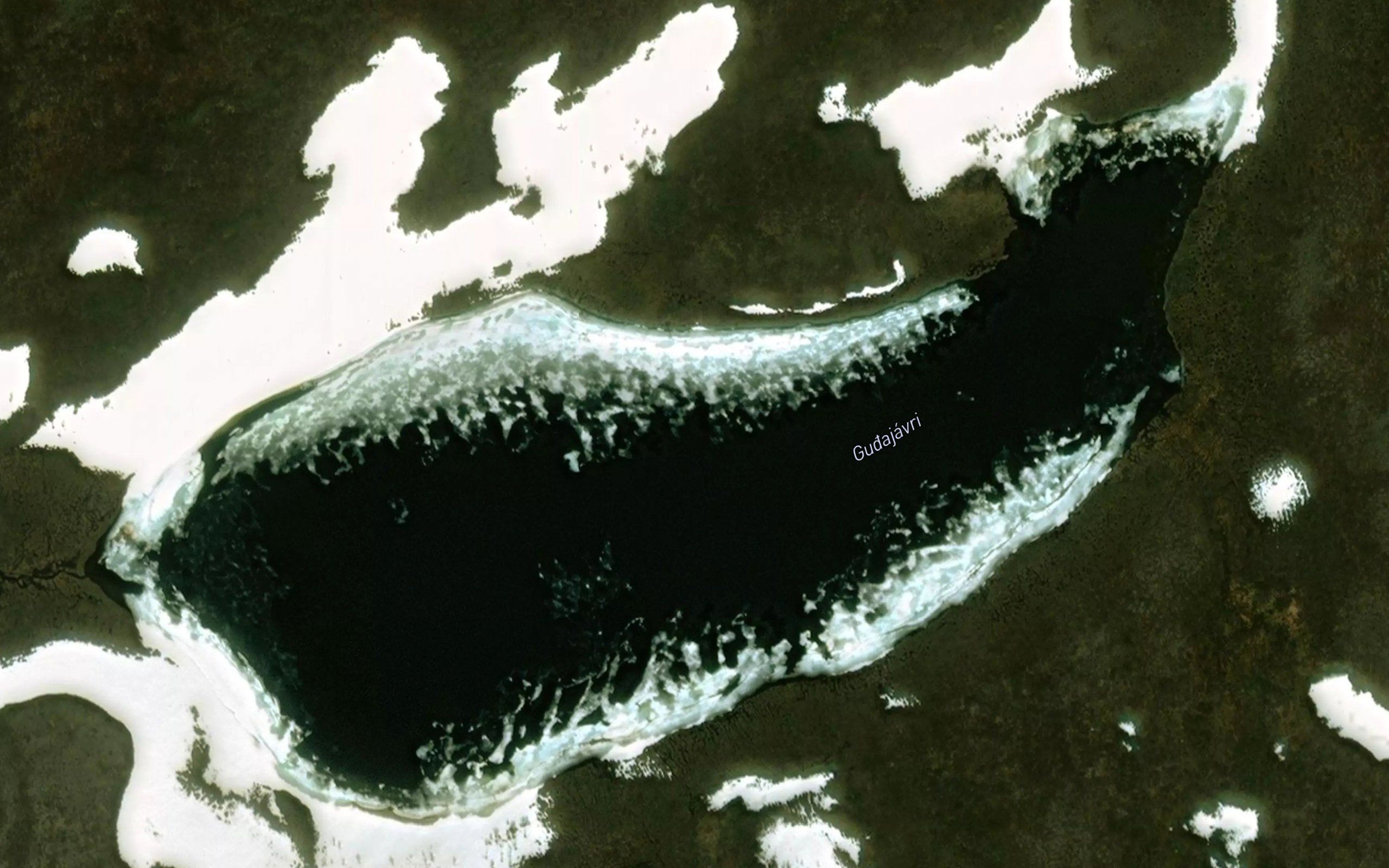 Gugajavri