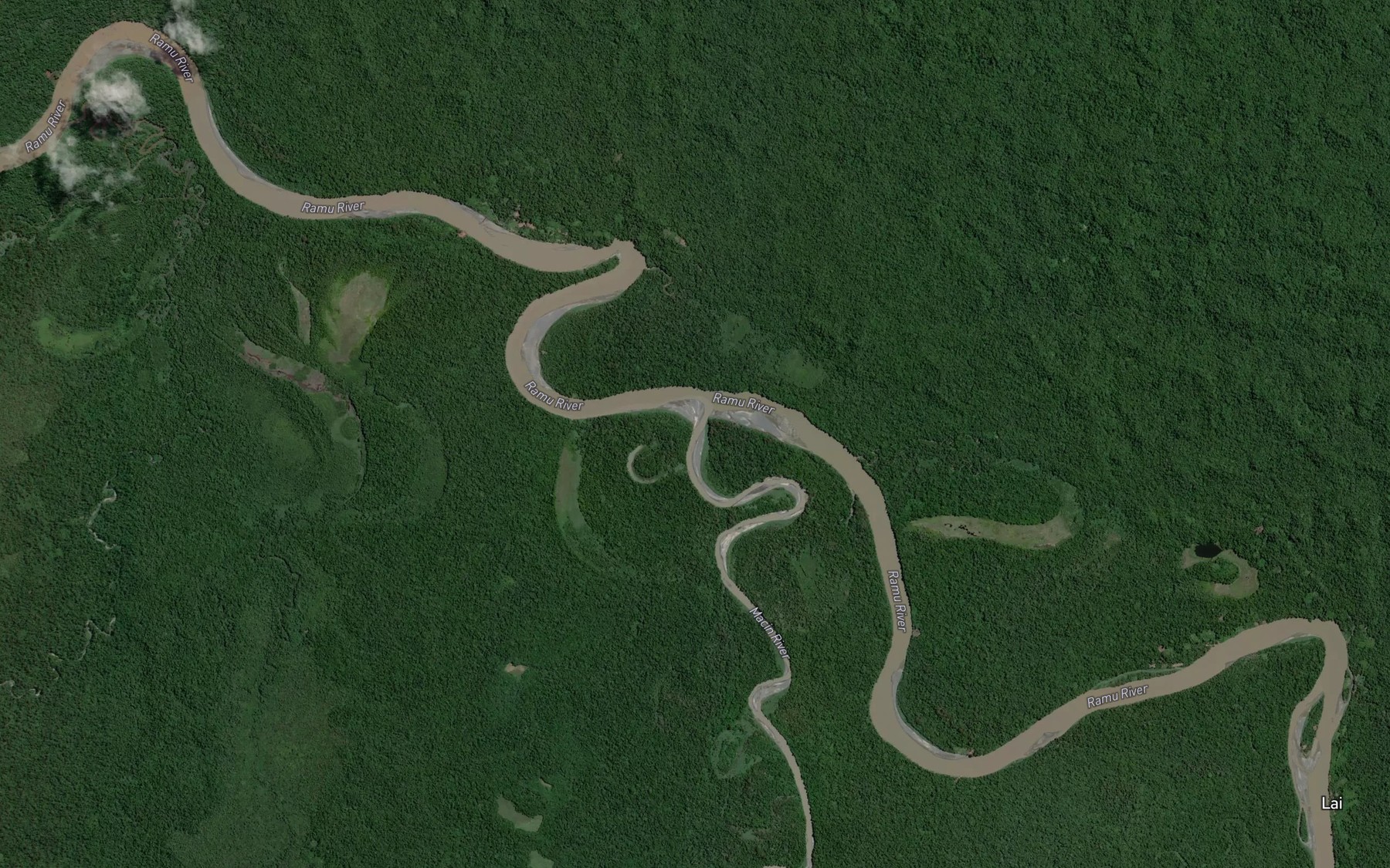 Satellite map of the Macin River
