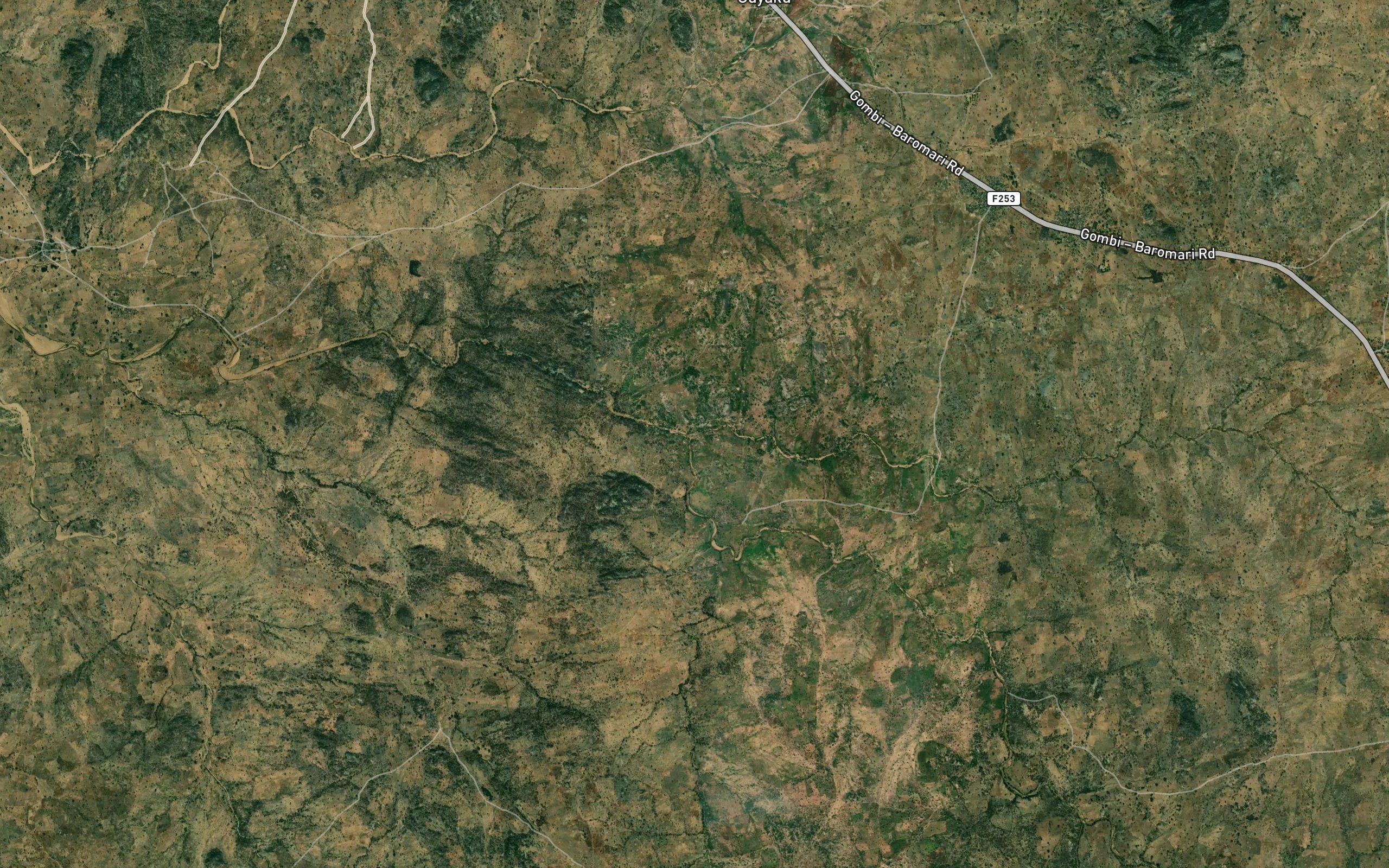 Mayel Gujela