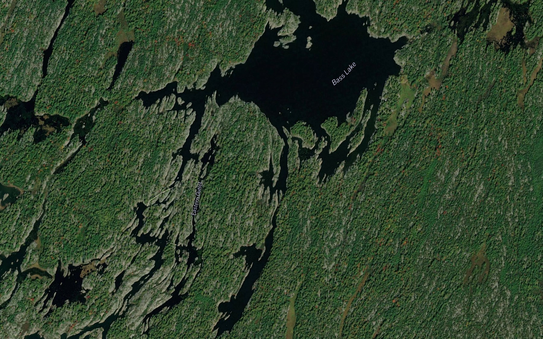 Satellite map of the Bass Lake
