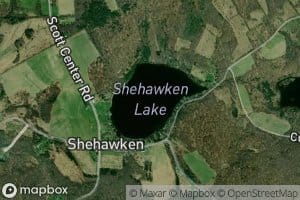 Shehawken Lake