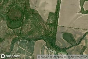 Resaca Del Rancho Viejo Reservoir