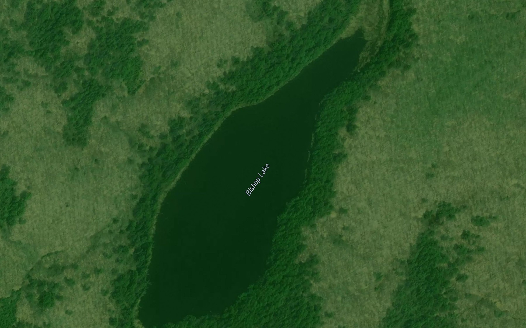 Satellite map of the Bishop Lake