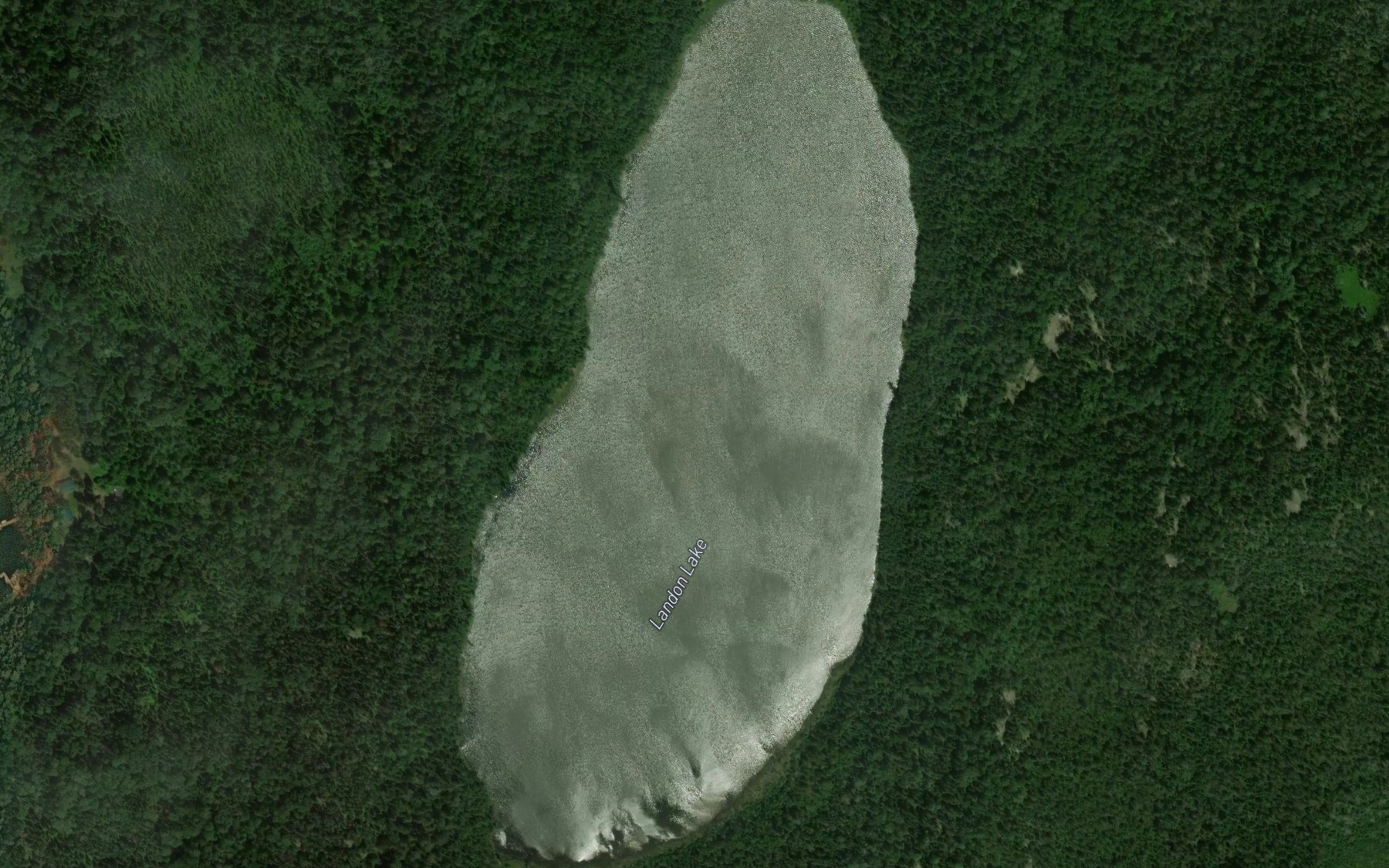 Satellite map of the Landon Lake