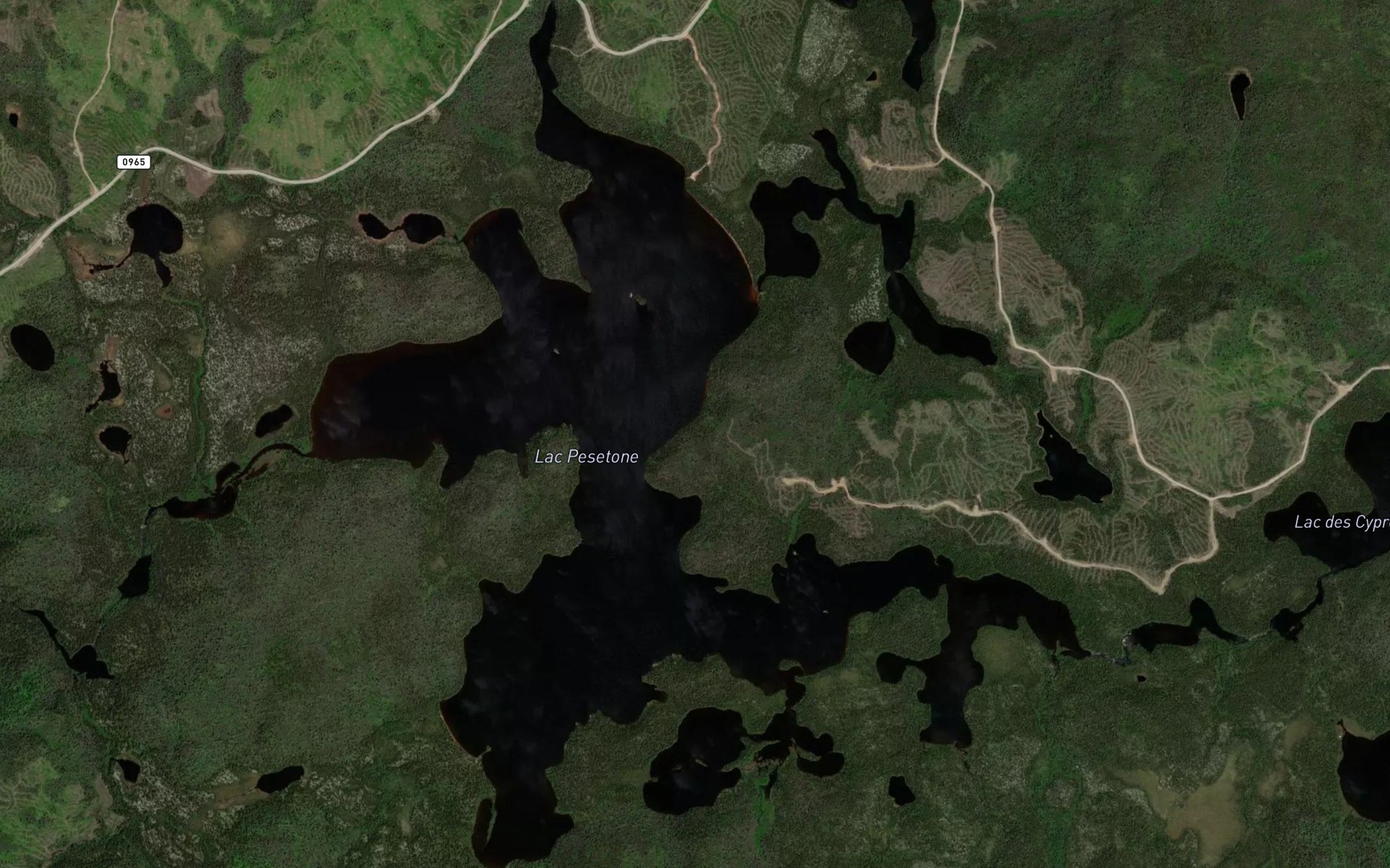 Satellite map of the Lac Pesetone