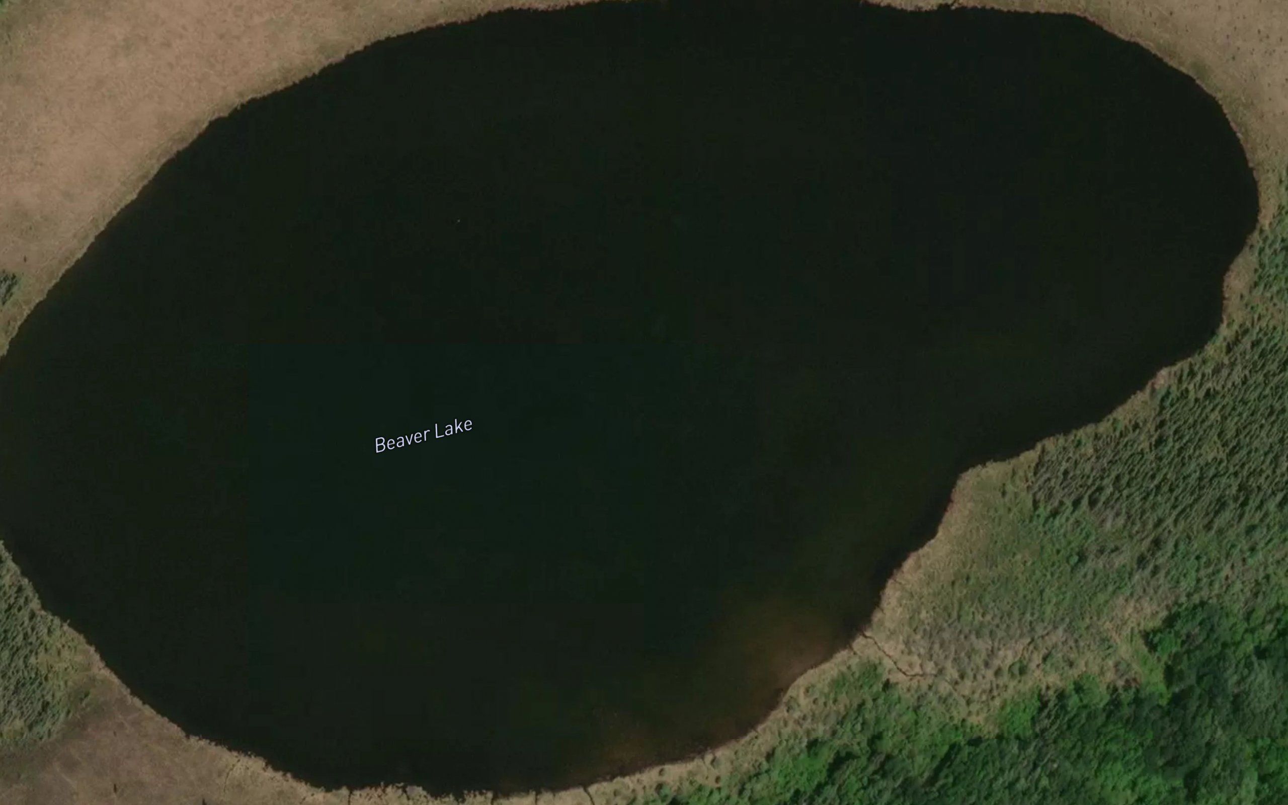 Beaver Lake