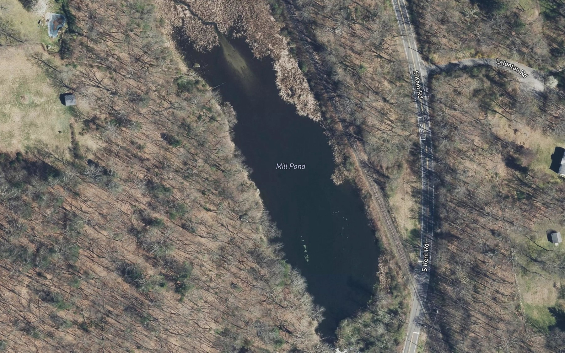 Satellite map of the Mill Pond
